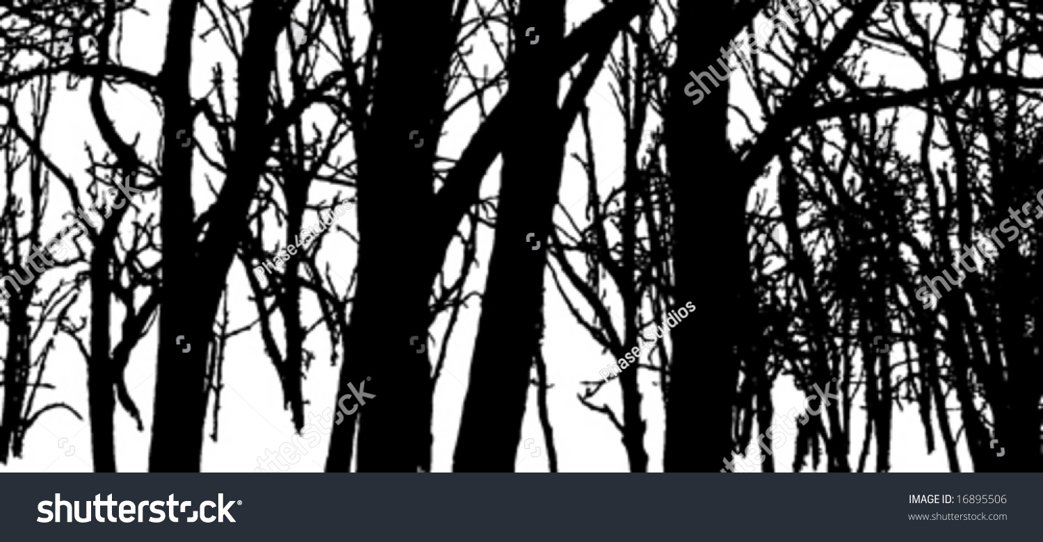 Vector Forest Silhouette - 16895506 : Shutterstock