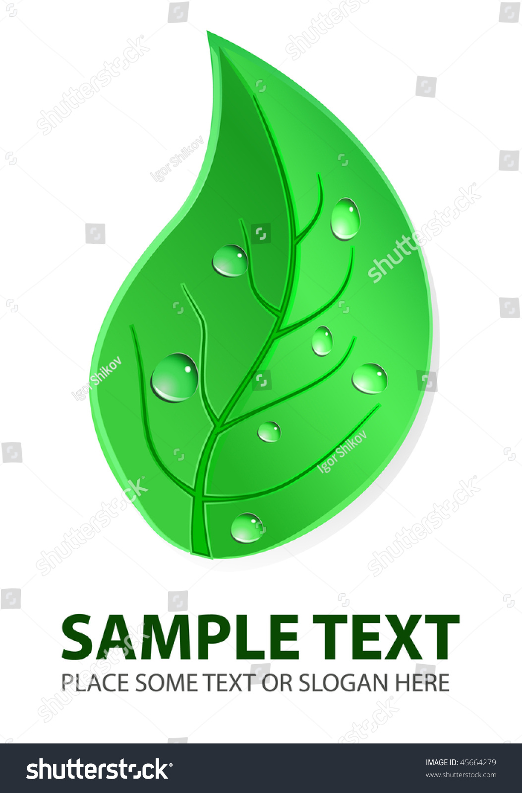 Vector Green Leaf - 45664279 : Shutterstock