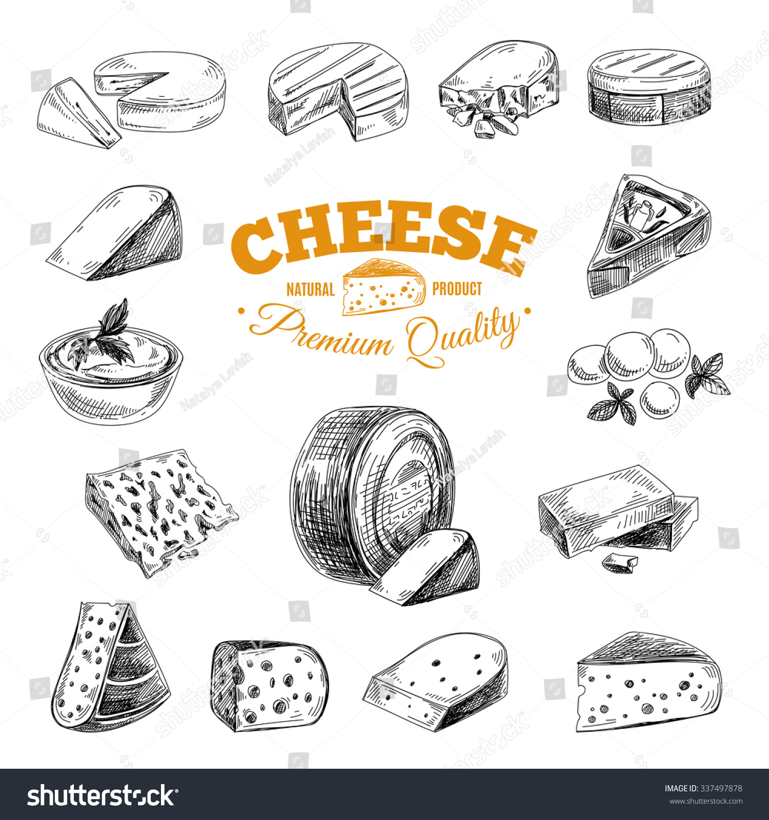 Vector hand drawn illustration with cheeses Sketch Vector hand drawn illustration with cheeses Sketch