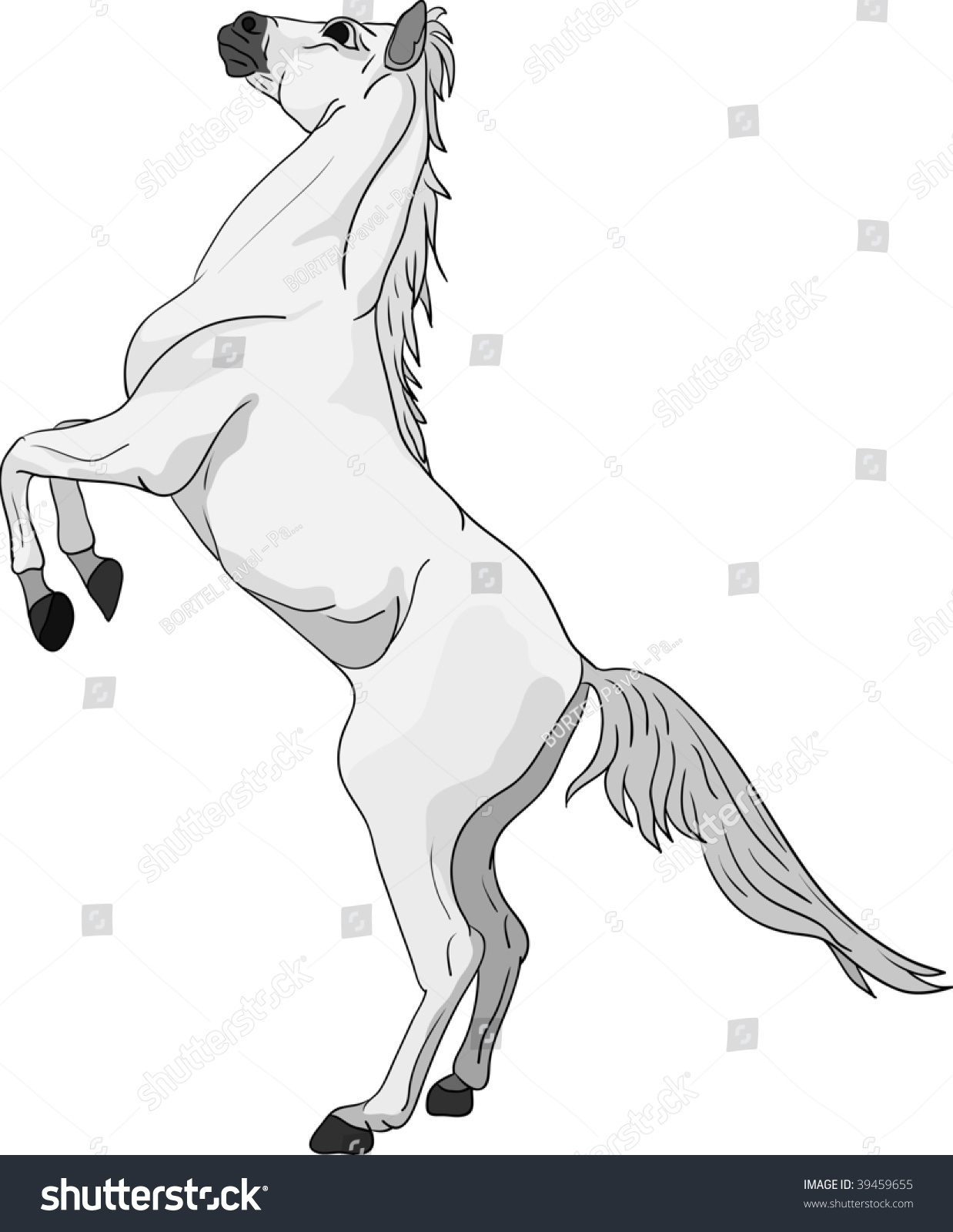 Vector -Horse Standing On Hind Legs - 39459655 : Shutterstock