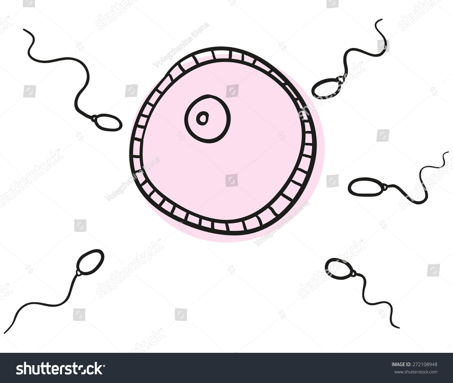 human cell clipart - photo #32