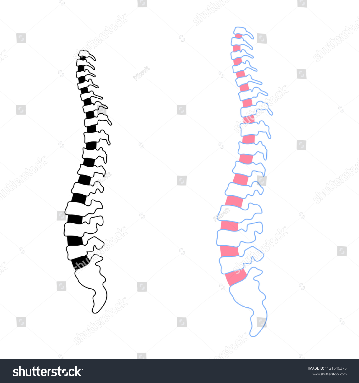 Vector Human Spine Isolated Silhouette Illustration Stock Vector