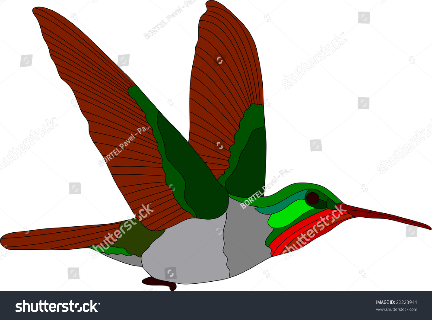 Vector Hummingbird Isolated On White Background Stock Vector 22223944