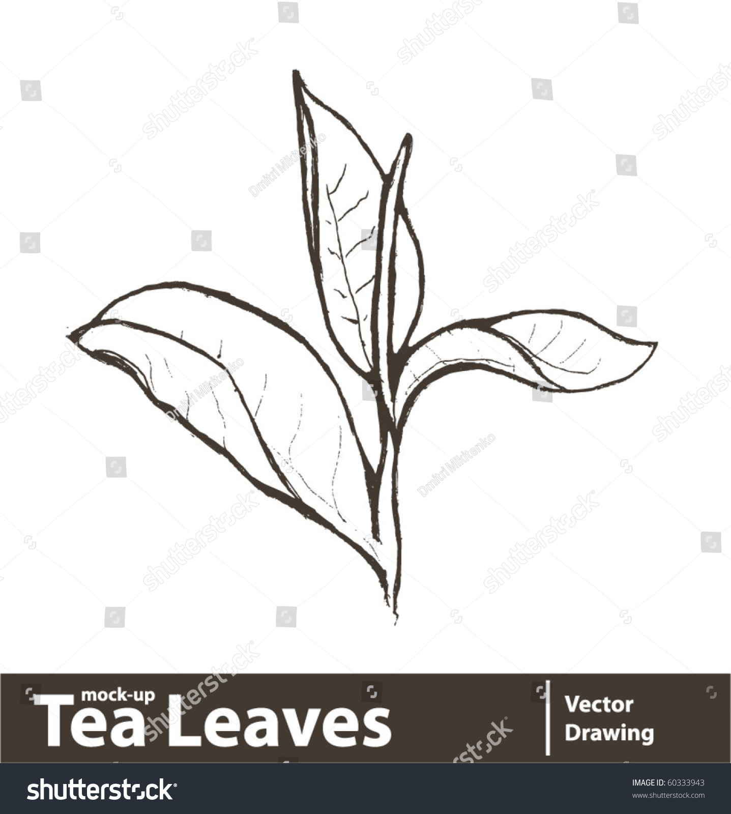 Vector Illustration Fresh Green Tea Leaf Isolated On White Background