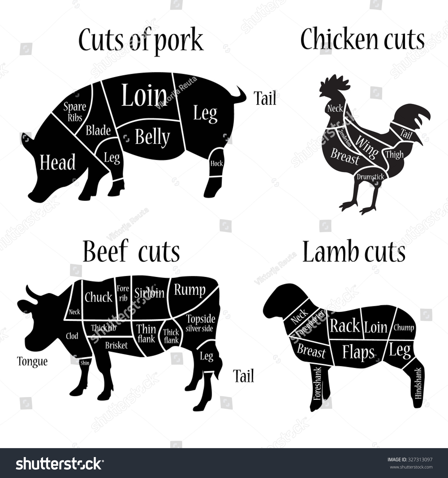 Vector Illustration Lamb Chicken Cow And Pork Cuts Diagram Or Chart