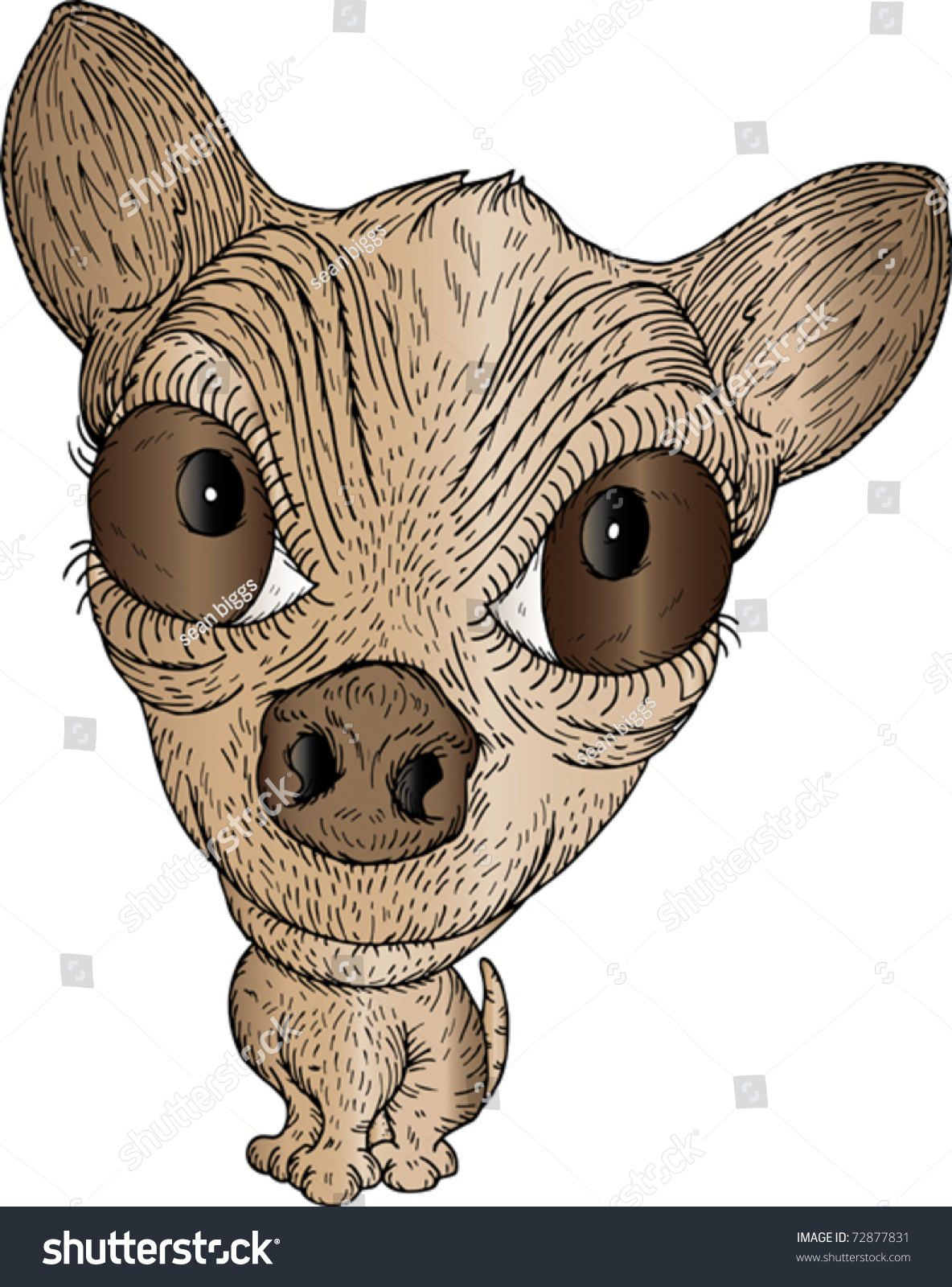 Vector Illustration Of A Cartoon Chihuahua - 72877831 : Shutterstock