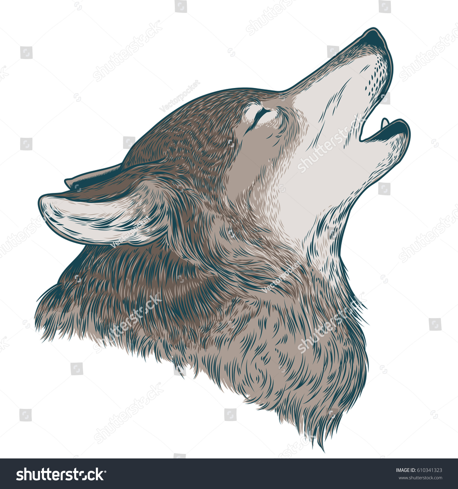 Vector Illustration Howling Wolf Engraving Print Stock Vector Royalty