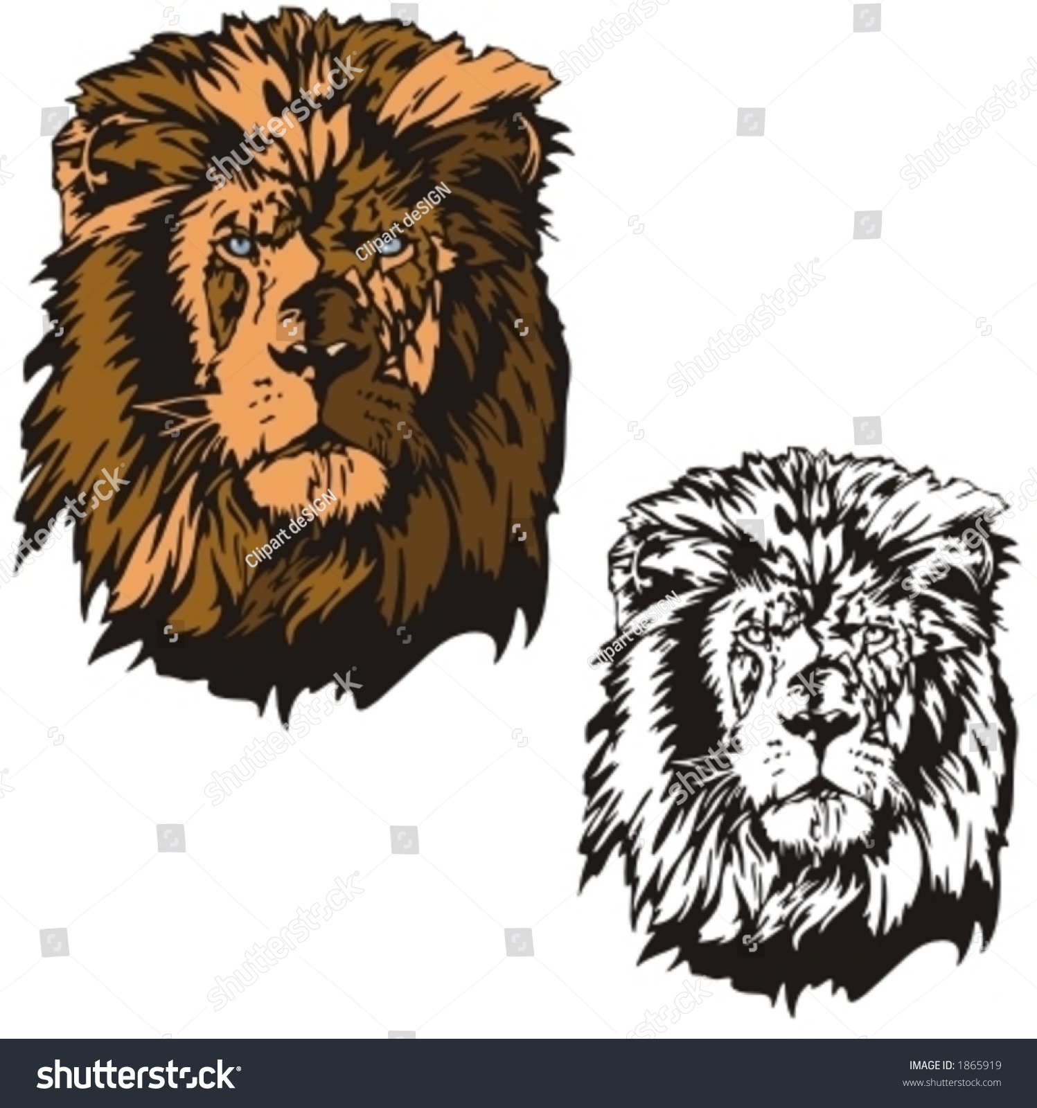 Vector Illustration Of A Lion. - 1865919 : Shutterstock