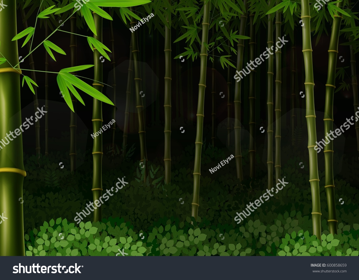 Vector Illustration Background Bamboo Forest Night