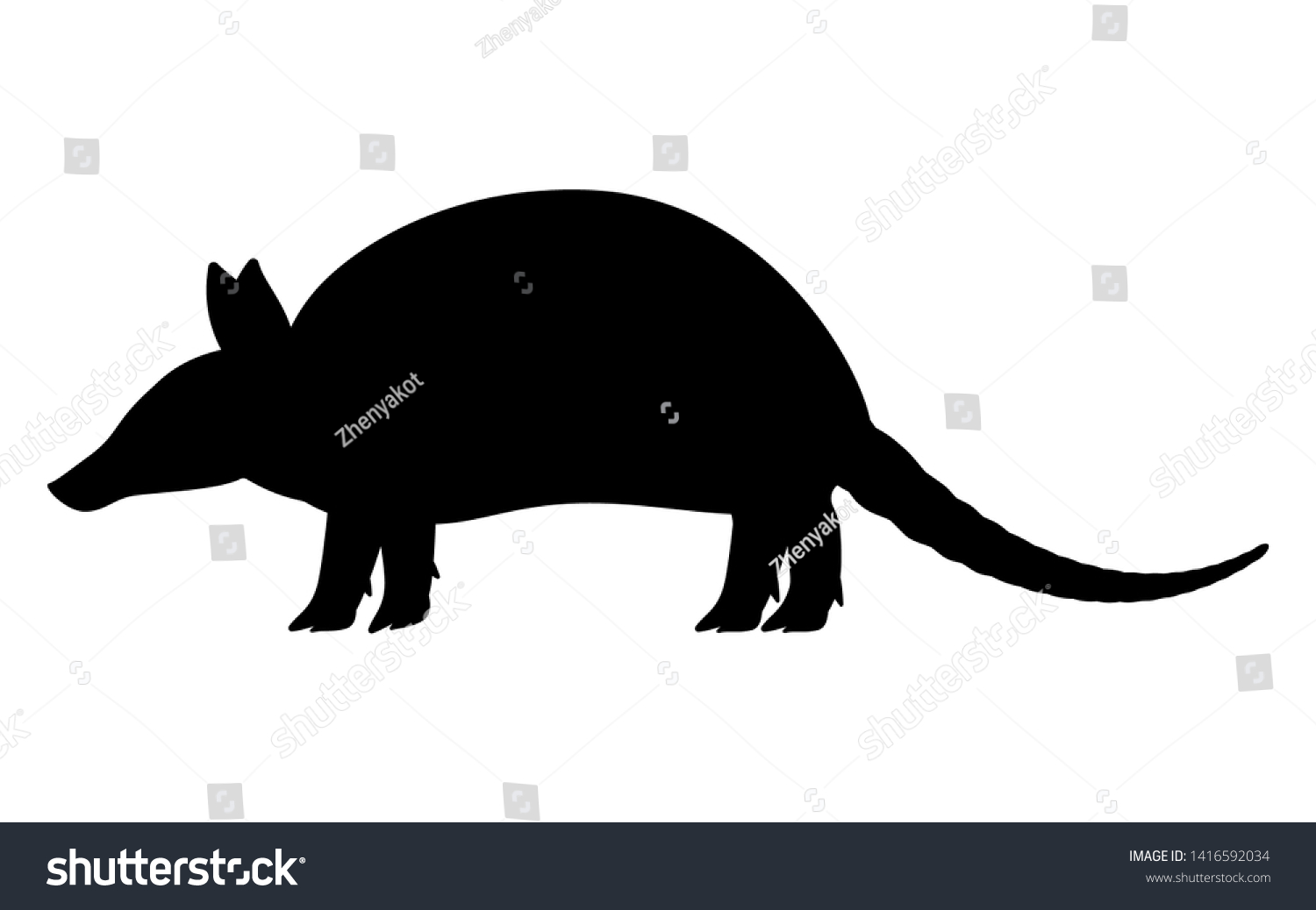 Vector Illustration Black Silhouette Armadillo Isolated Stock Vector