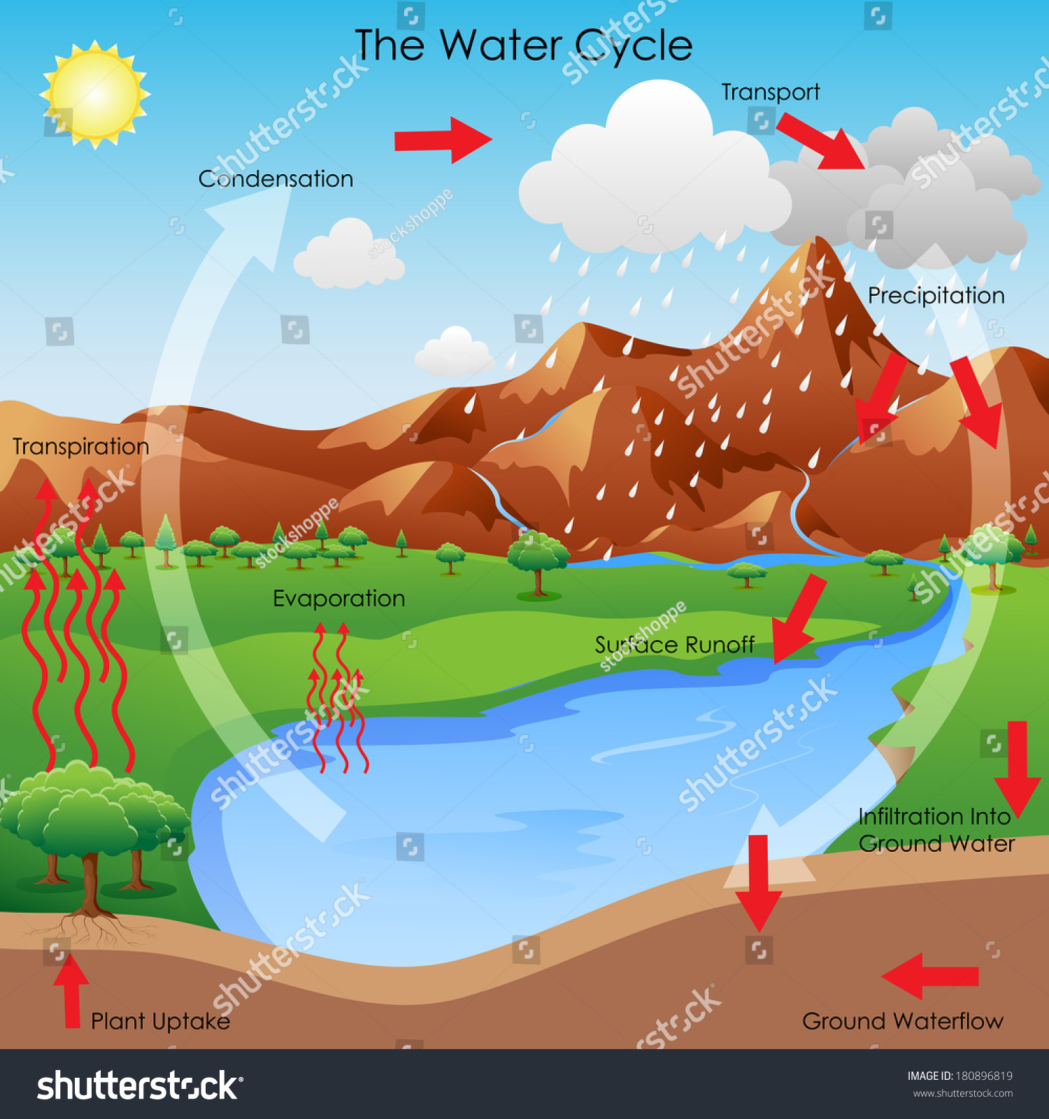 Vector Illustration Diagram Showing Water Cycle Stock
