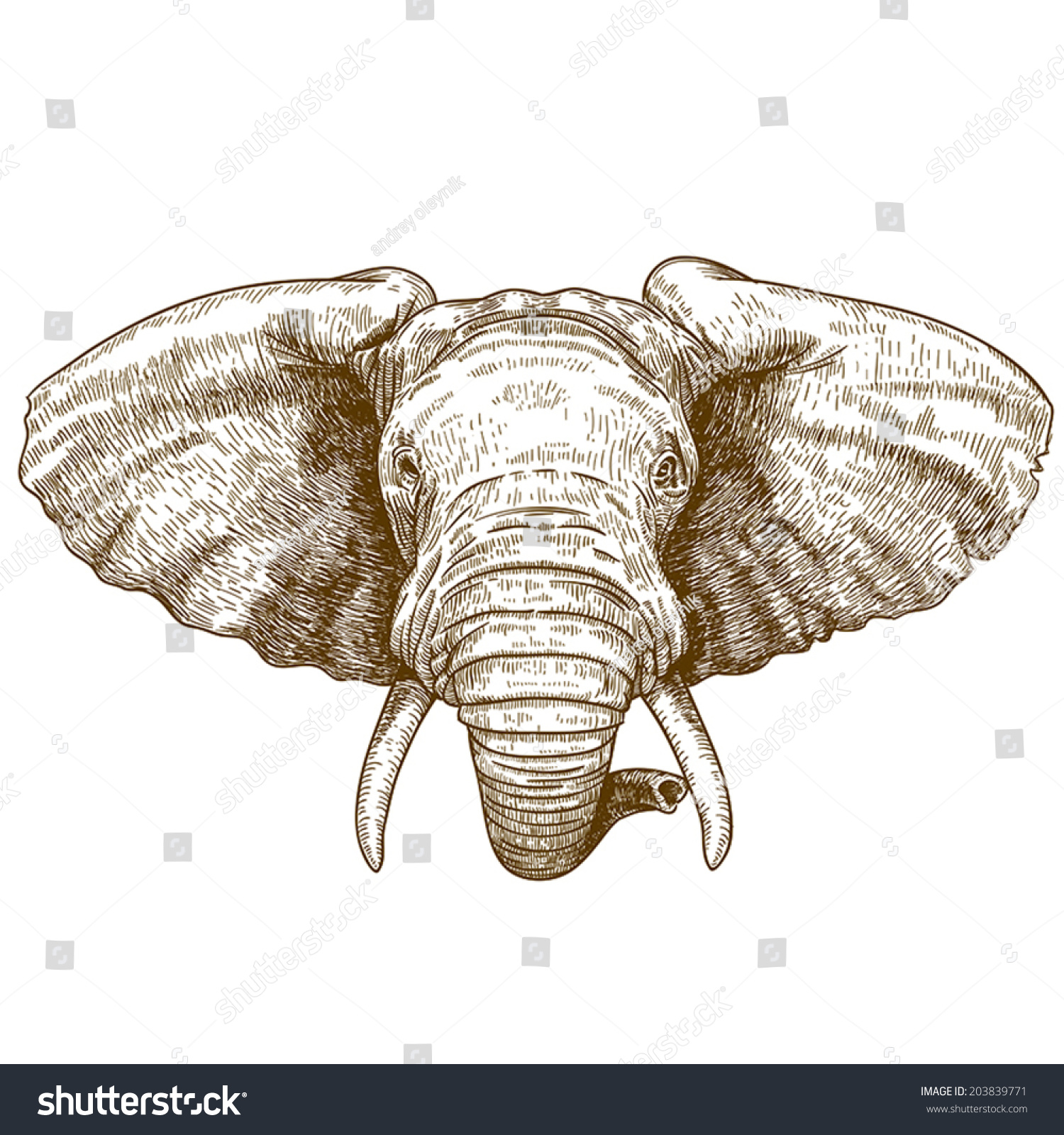 Vector Illustration Of Engraving Elephant Head On White Background