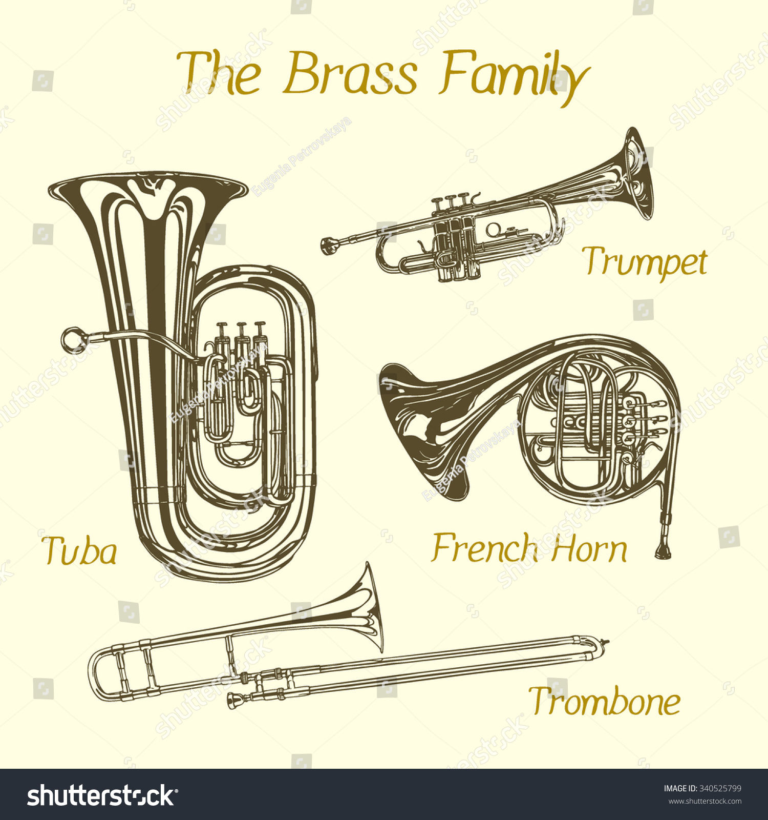 Vector Illustration Of Hand Drawn Brass Family Instruments. Beautiful