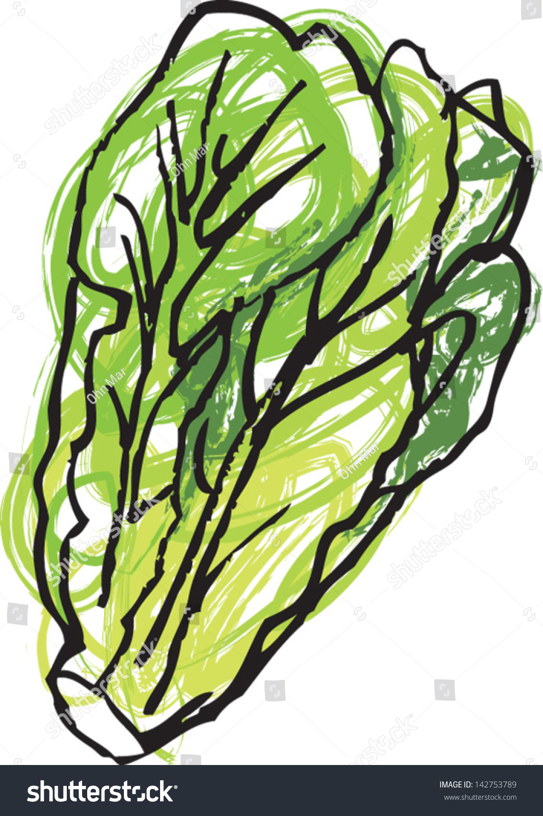 lettuce leaf clip art - photo #36