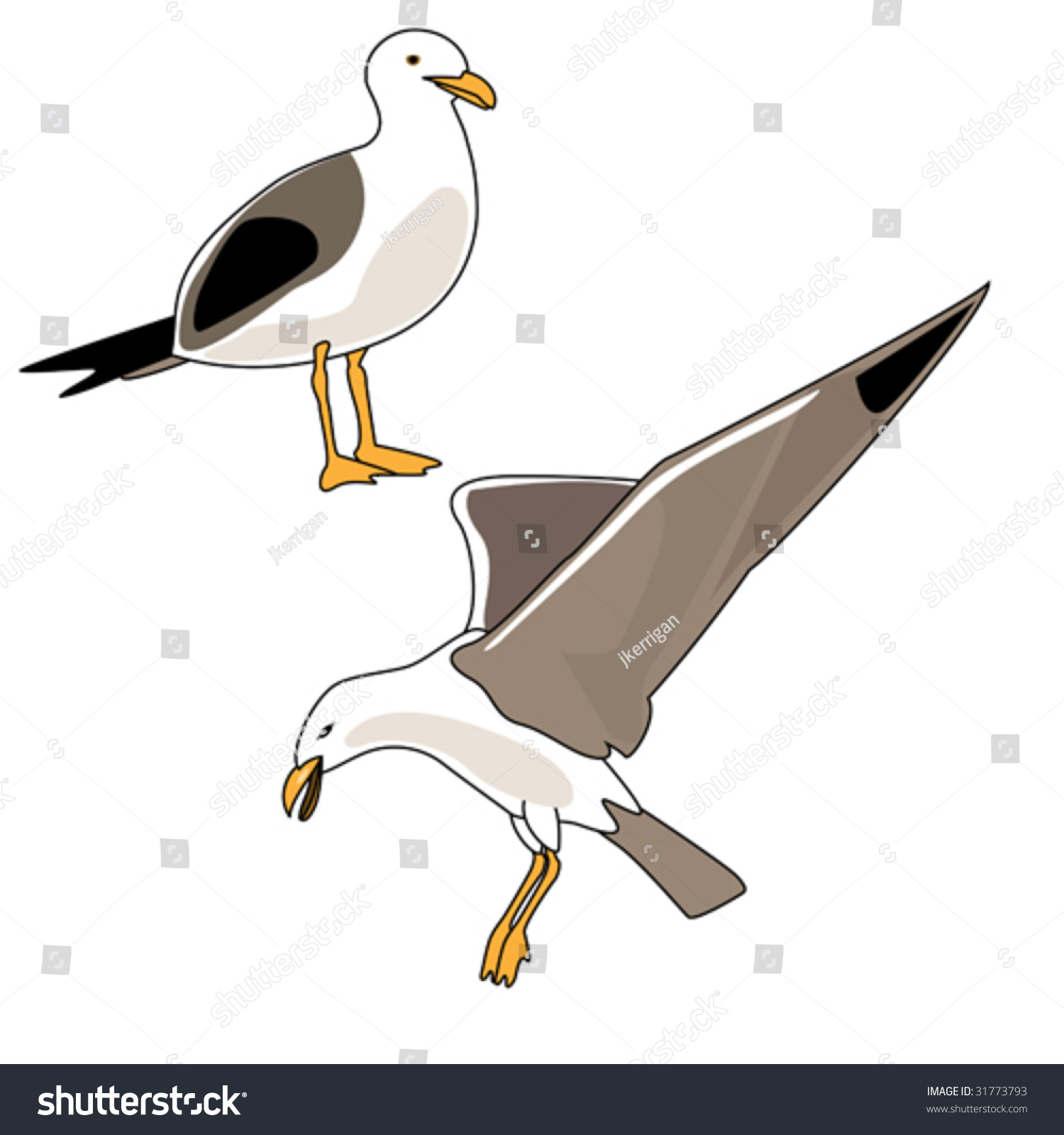 Vector Illustration Of Seagulls Flying And Standing. - 31773793 ...