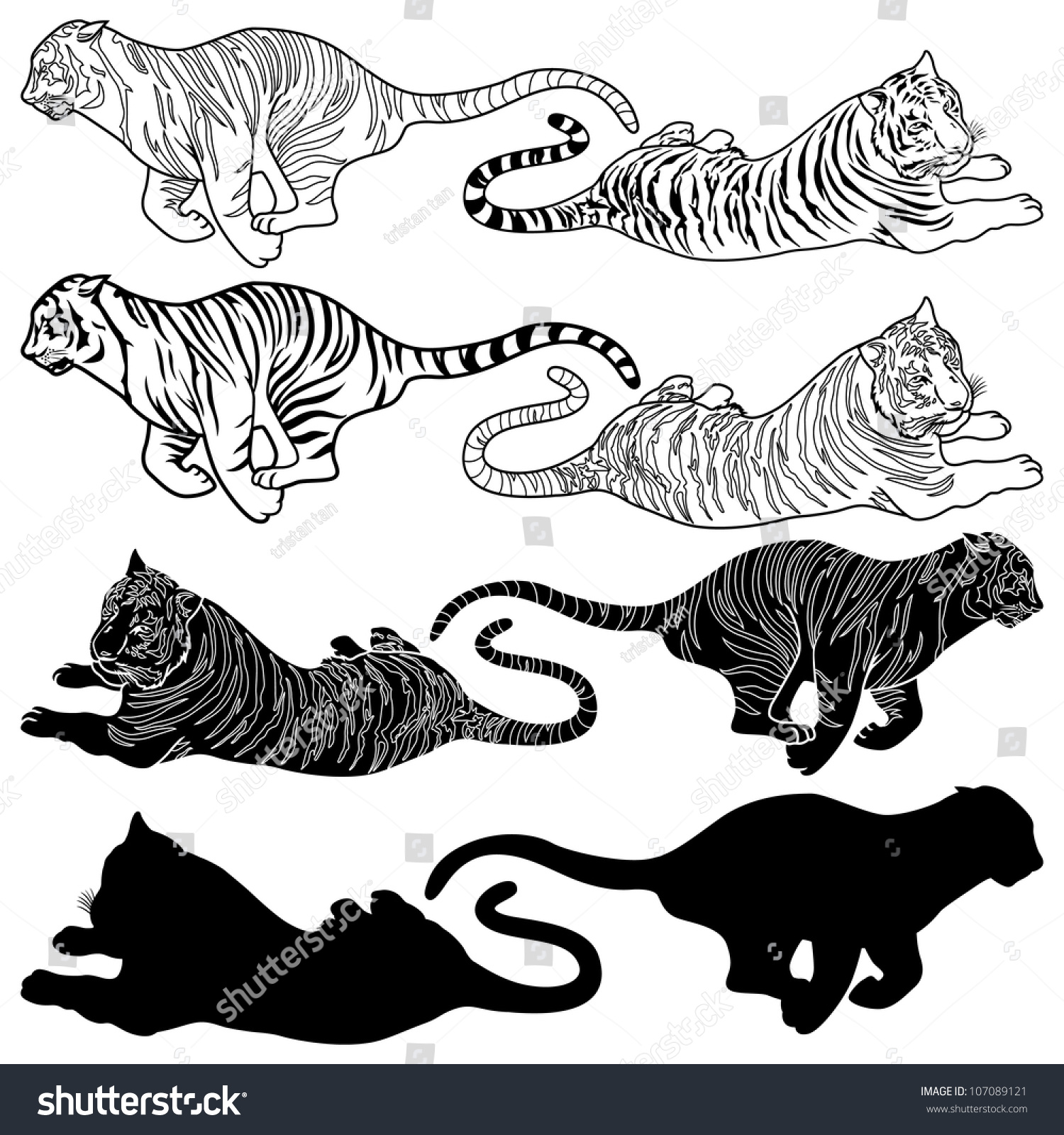 Vector Illustration Of Tiger Silhouettes And Design Set 107089121 Shutterstock 