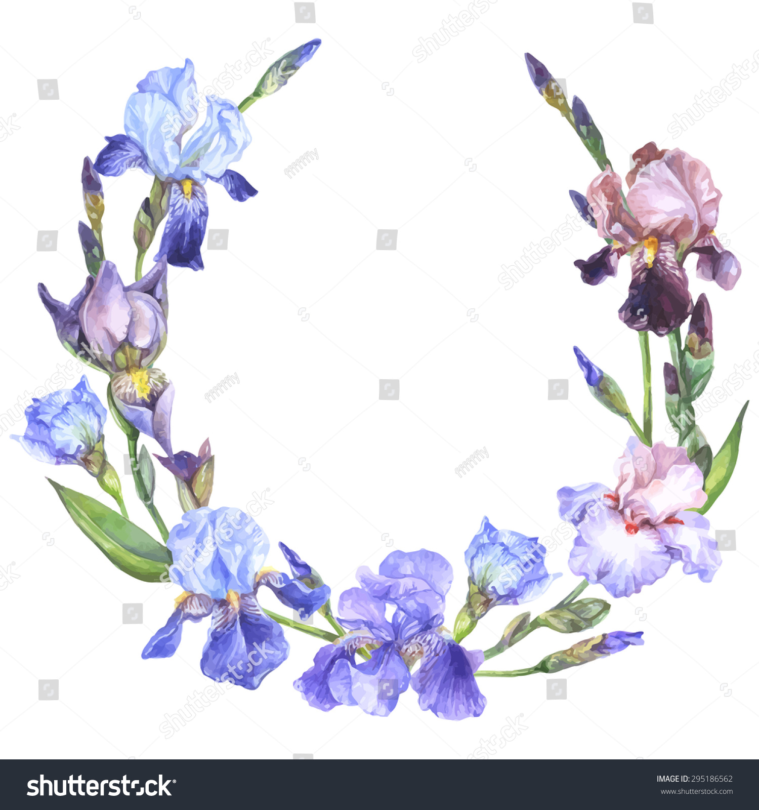 free iris flower clipart - photo #50