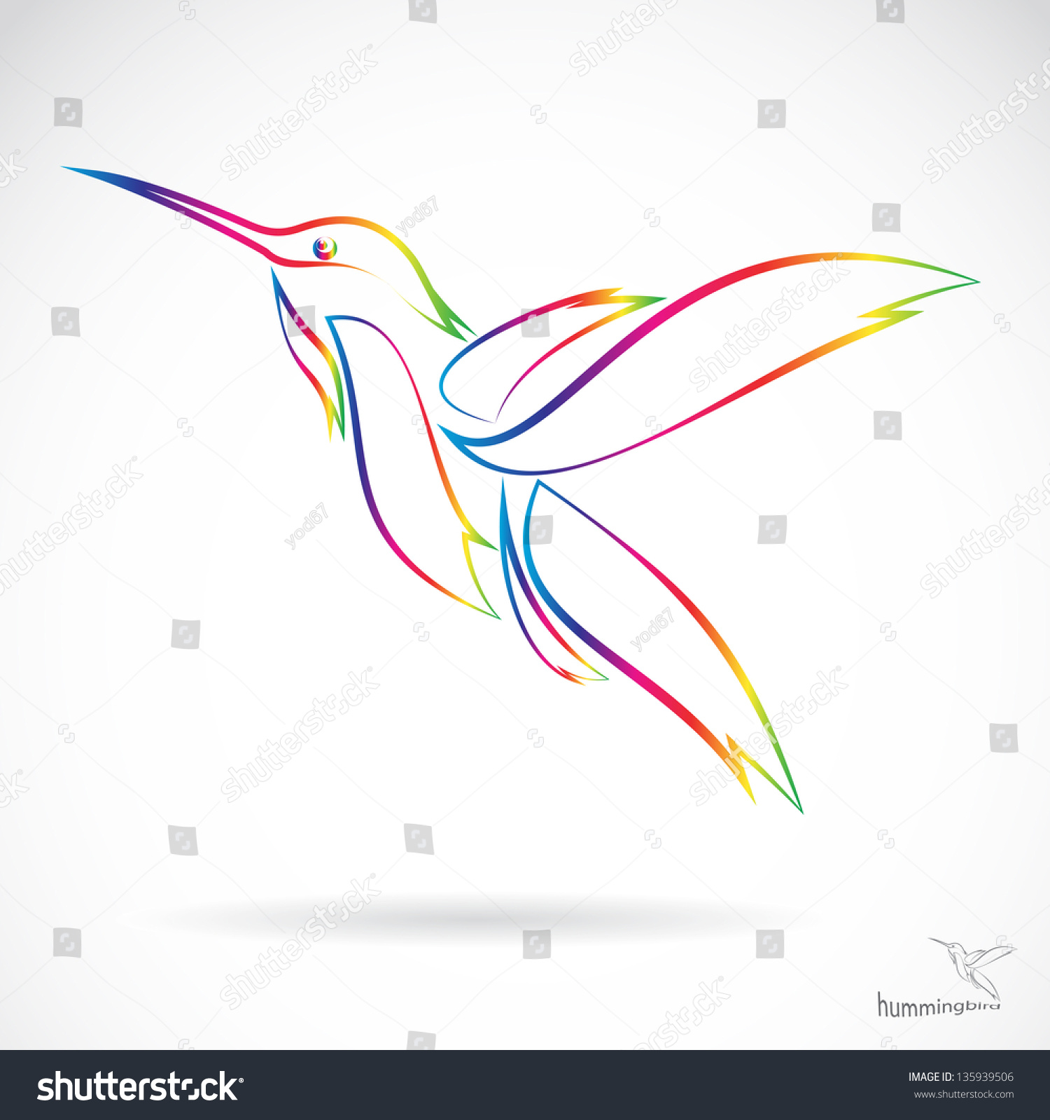 Vector Image Of An Hummingbird On White Background - 135939506