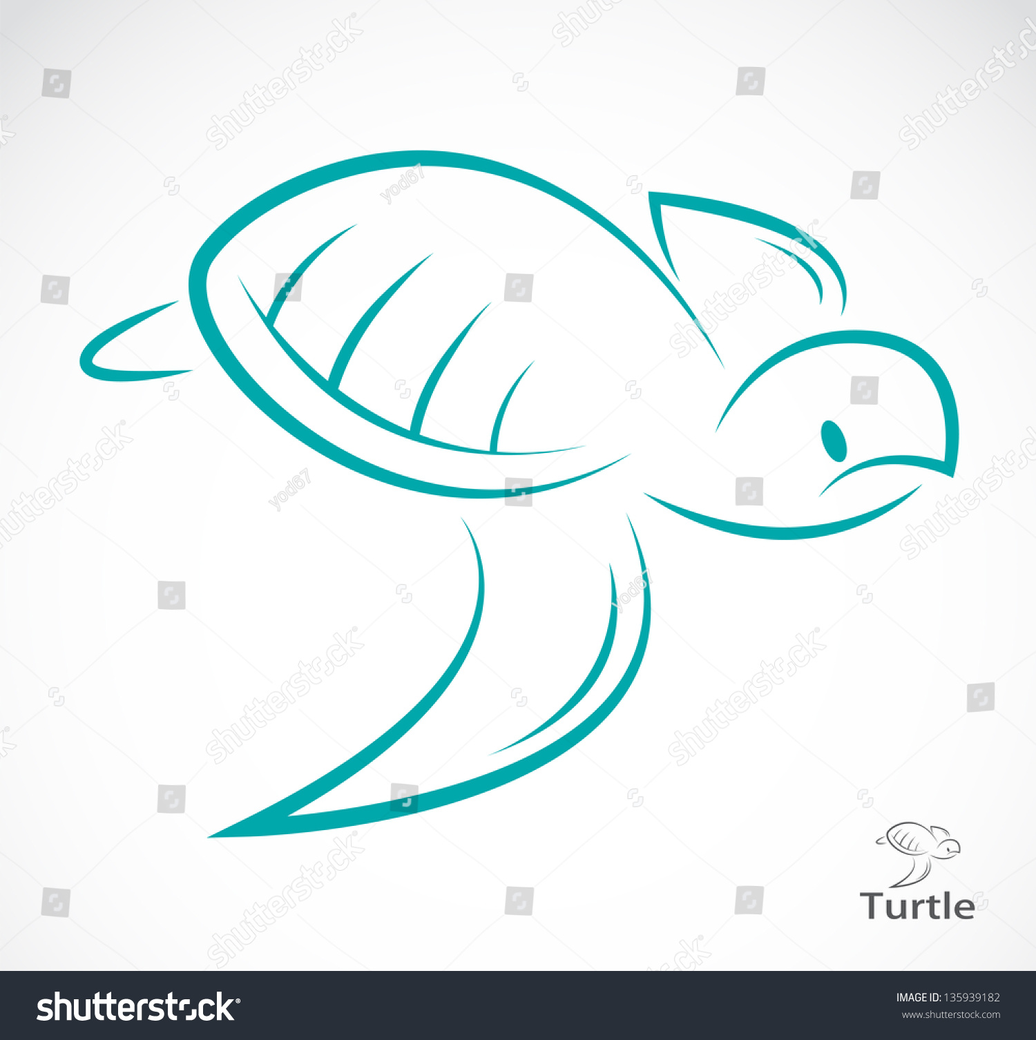 Vector Image Of An Turtle On White Background - 135939182 : Shutterstock