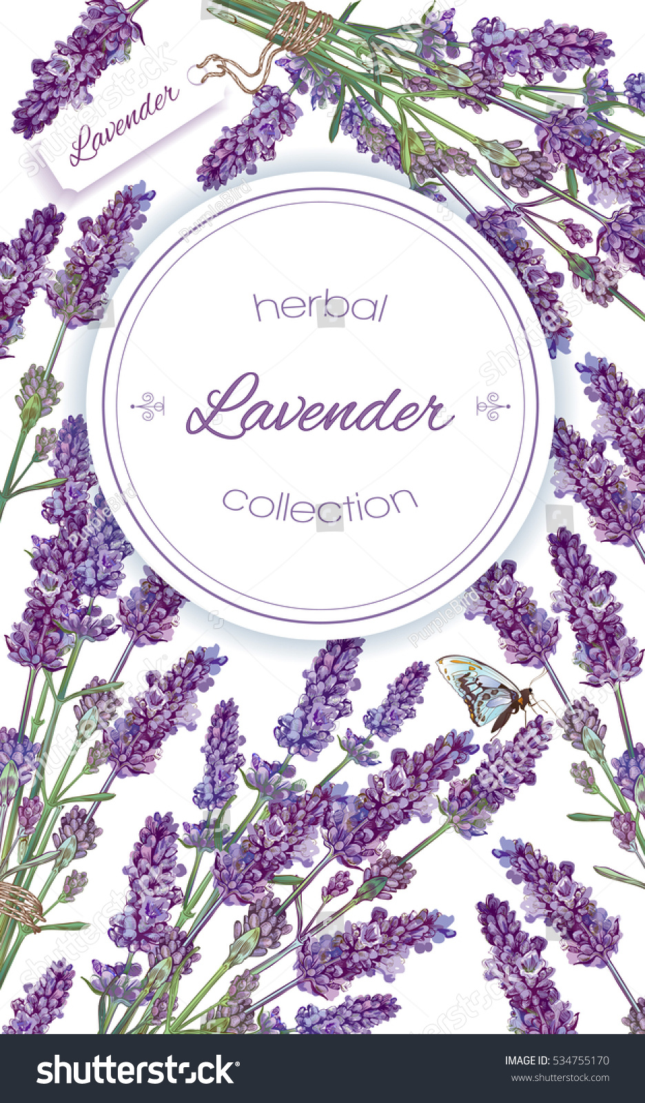 Vector lavender flower frame on white background Design for natural cosmetic health care products perfume Can be used as greeting card or wedding invitation Vector lavender flower frame on white background Design for natural cosmetic health care products perfume Can be used as greeting card or wedding invitation