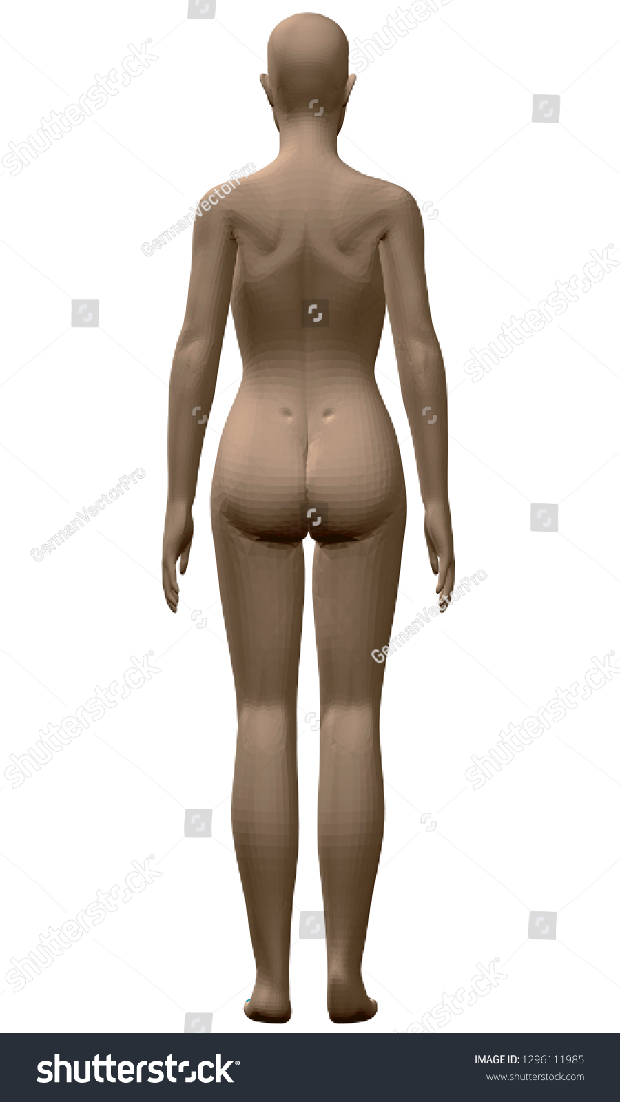 Diagram Of Nude Girls Cuckold Photo