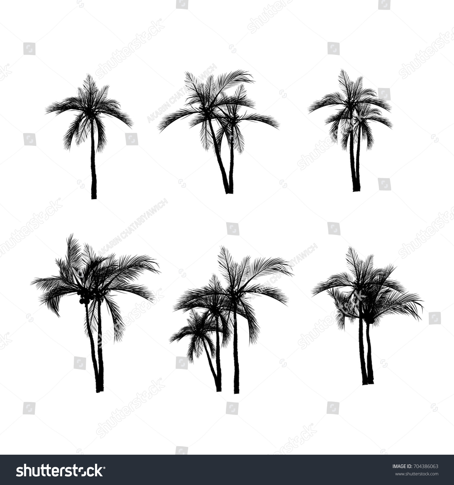 Vector Palm Tree Silhouette Icons On Stock Vector Royalty Free