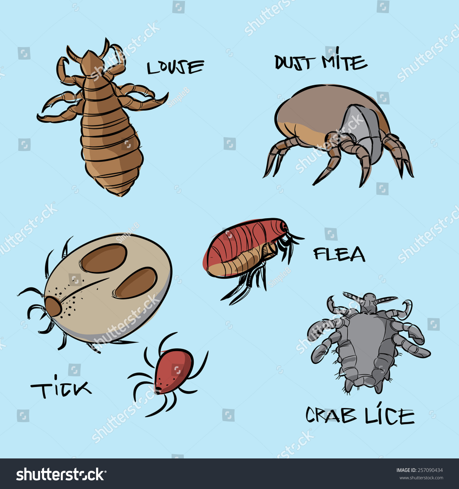 Vector Parasites Louse Tick Dust Mite Flea Crab Lice Doodle Style