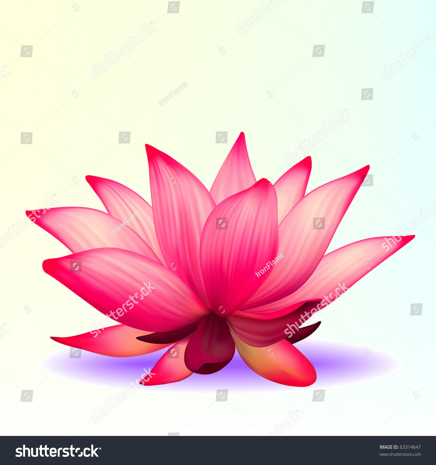 Vector Photorealistic Lotus Flower Stock Vector 63314647 - Shutterstock