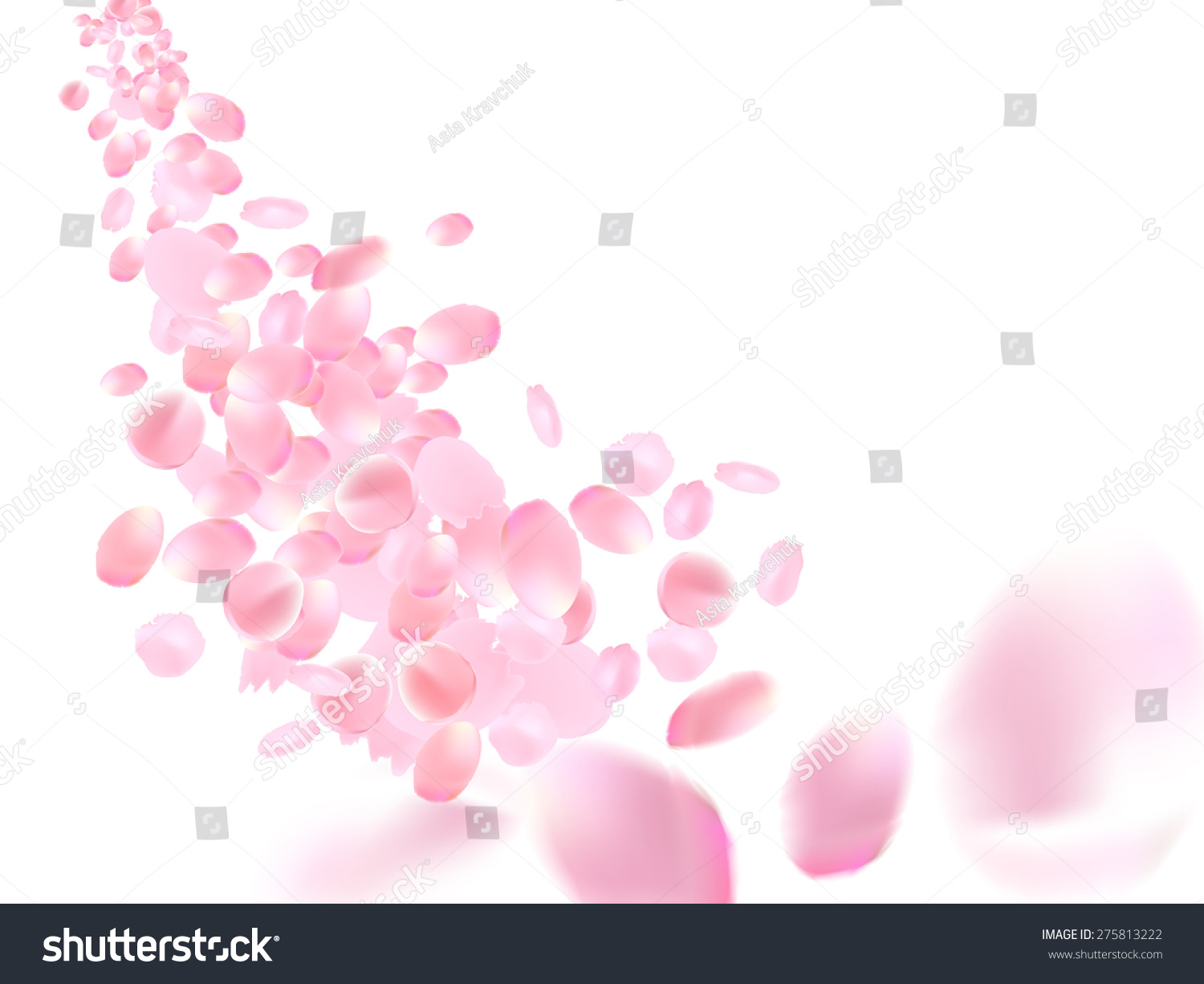 Vector Sakura Petals On White Background Stock Vector 275813222