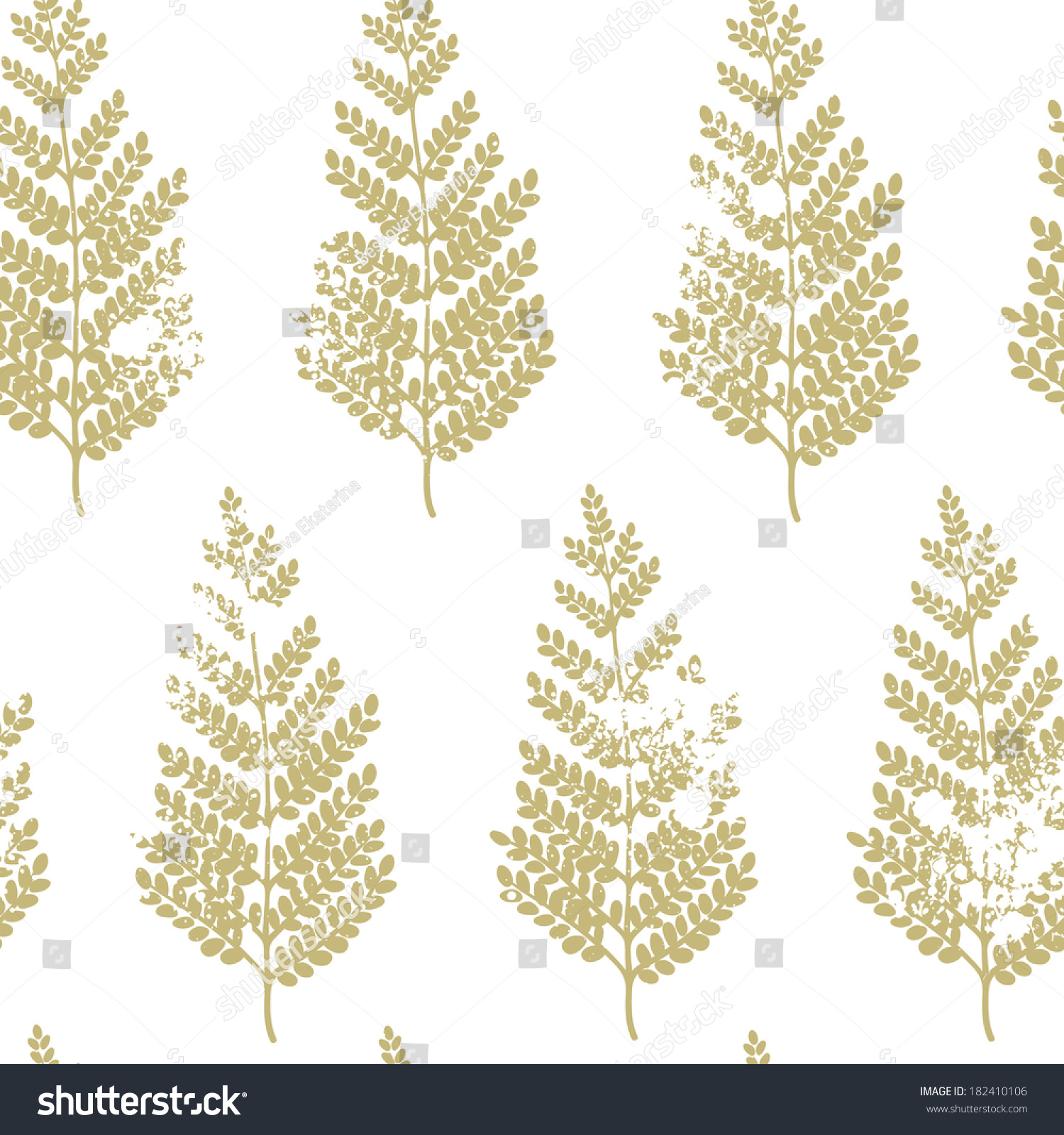 Vector Seamless Pattern Acacia Leaves Vintage Stock Vector Vector Seamless Pattern Acacia Leaves Vintage Stock Vector