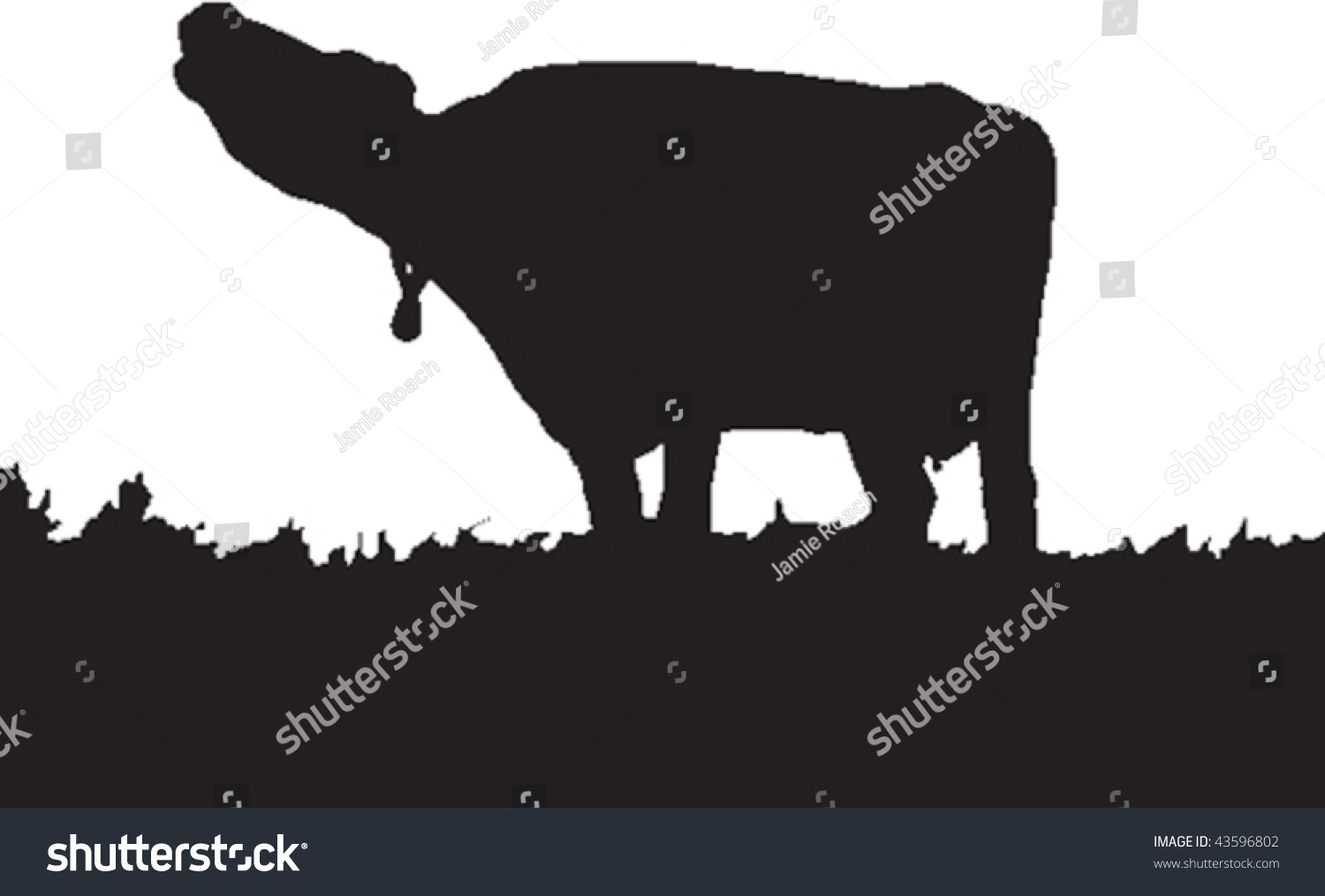 Vector Silhouette Of A Cow Mooing In A Field Or Pasture. - 43596802 