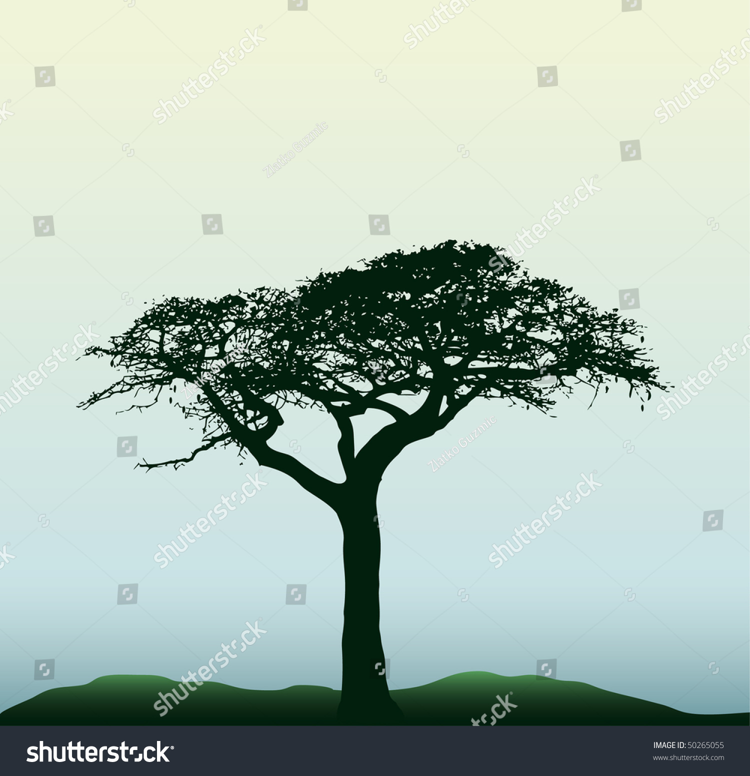 Vector Silhouette Of The Baobab Tree - 50265055 : Shutterstock