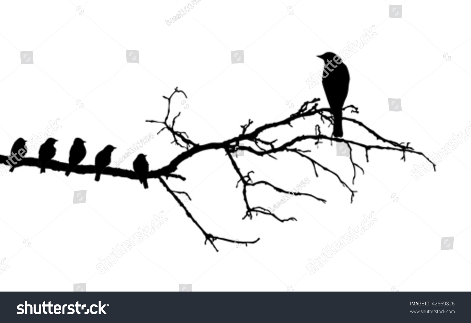 Vector Silhouette Of The Birds On Branch 42669826 Shutterstock