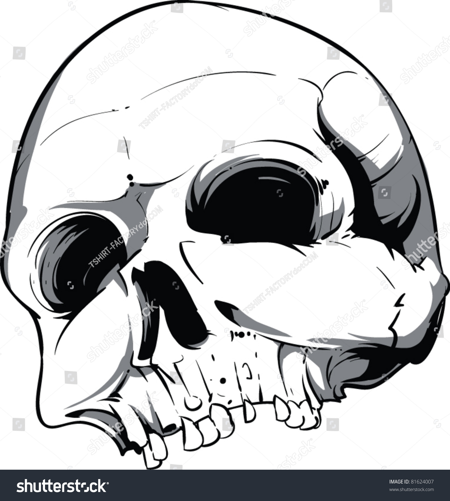 Vector Skull Illustration - 81624007 : Shutterstock