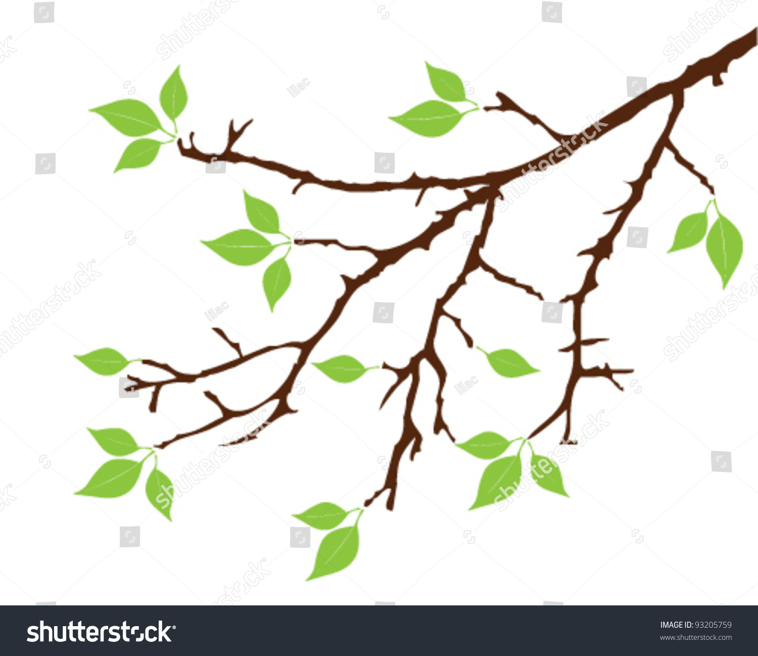 Vector Tree Branch With Green Leaves - 93205759 : Shutterstock