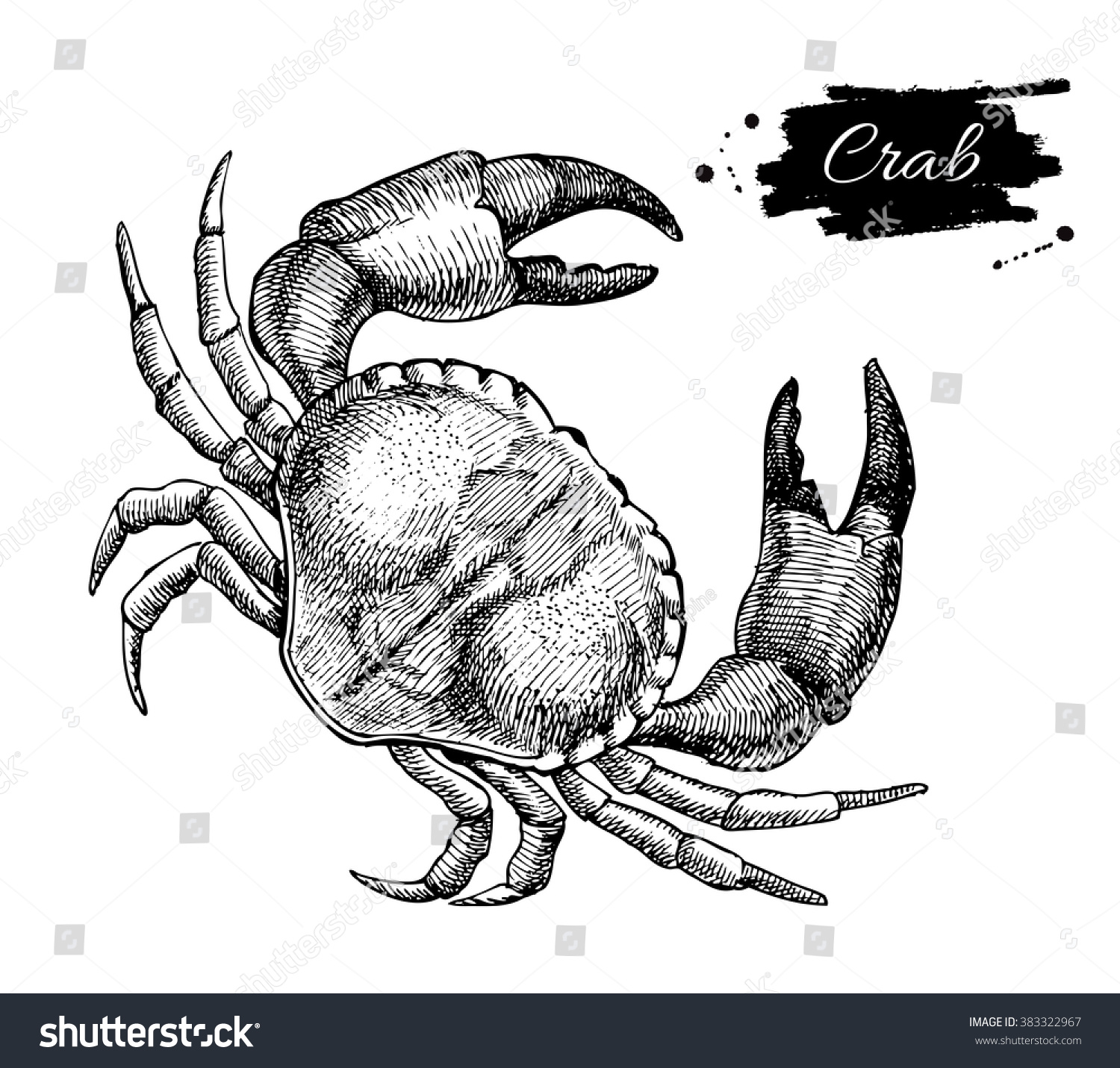 Vector Vintage Crab Drawing Hand Drawn Stock Vector Royalty Free