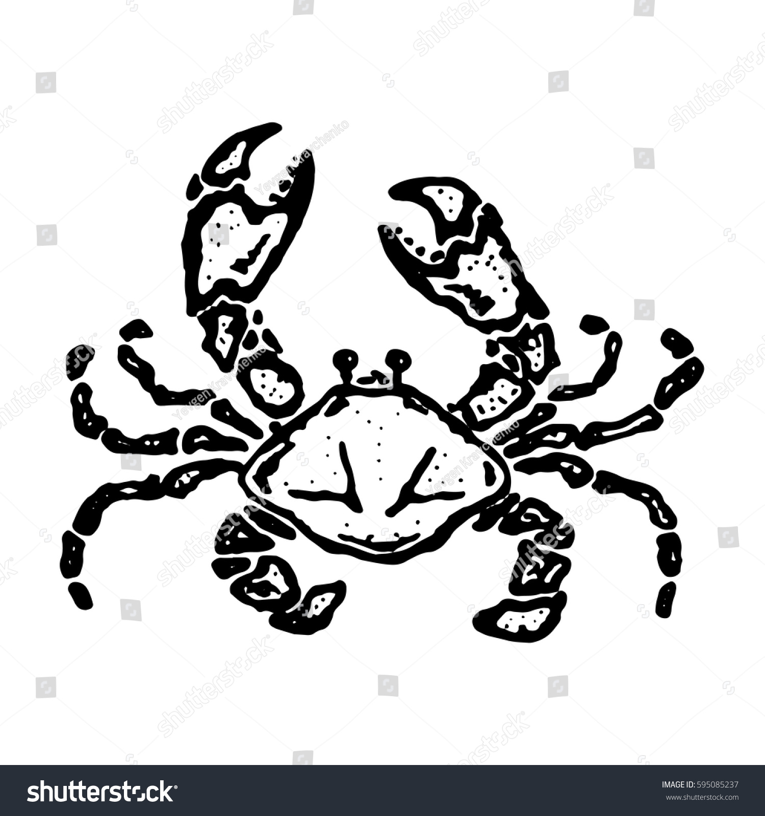 Vector Vintage Crab Drawing Hand Drawn Stock Vector Royalty Free