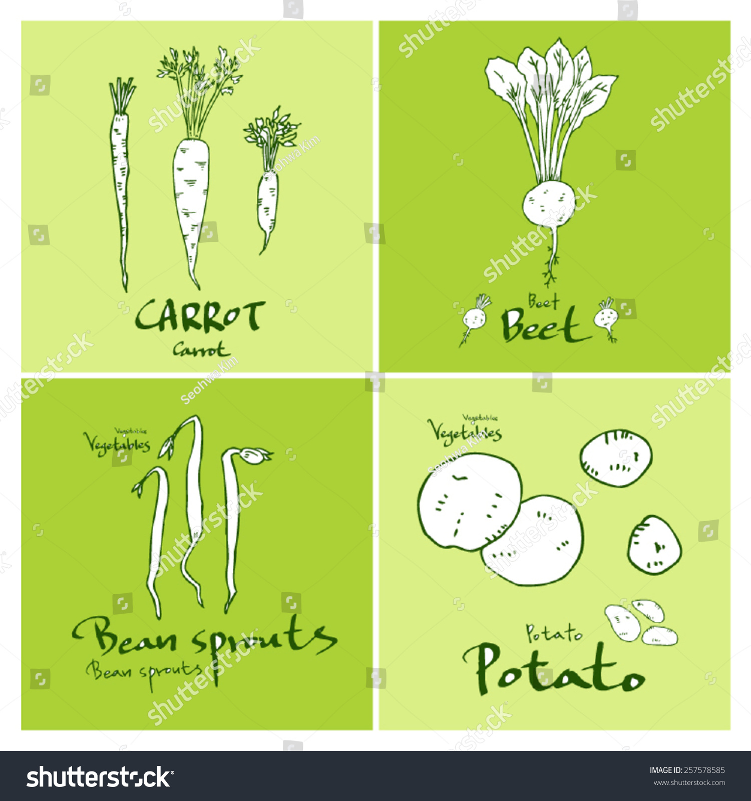 Vegetable and fruit illustrations Hand drawn food ingredients vector Vegetable and fruit illustrations Hand drawn food ingredients vector