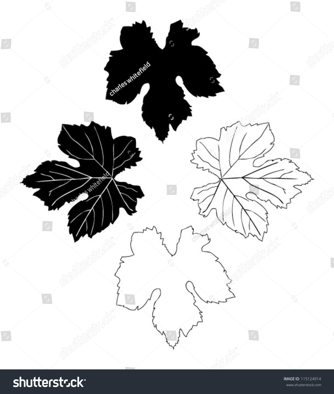 Vine Leaves Drawn Stock Vector 115124914 - Shutterstock