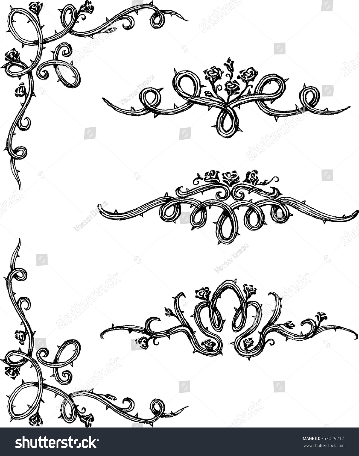 Vine Rosesset Thorny Rose Vines Hand Stock Vector 353029217 Shutterstock