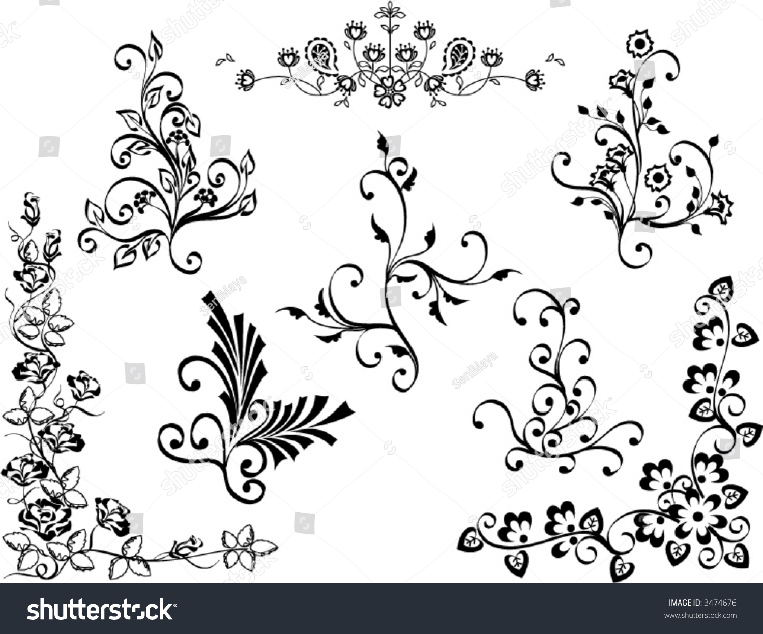 Vines And Flowers Design Stock Vector Illustration 3474676 : Shutterstock