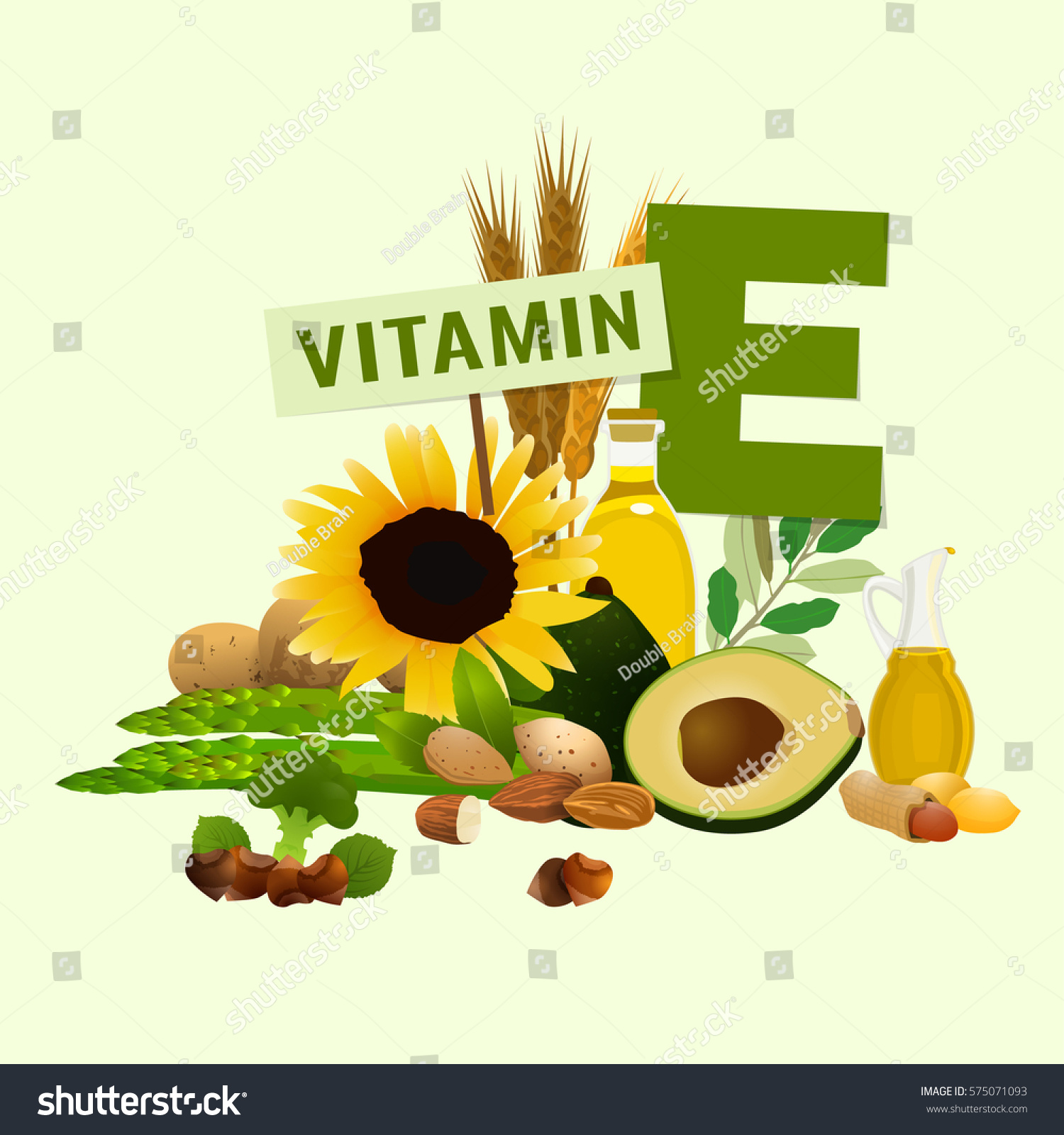 Vitamin E Vector Illustration Foods Containing Stock Vector Royalty