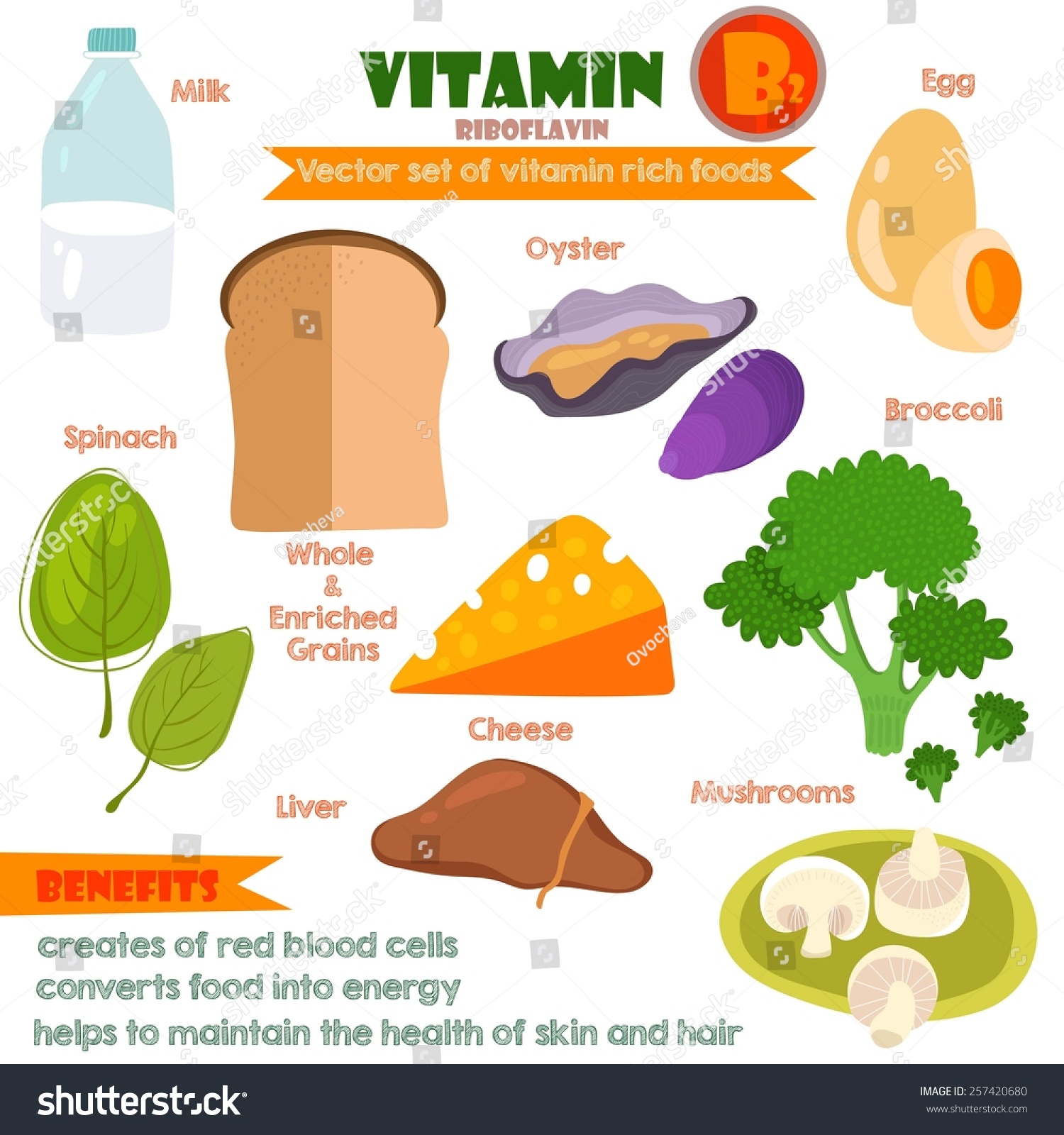 Vitamins Minerals Foods Illustrator Set 7vector Stock Vector 257420680