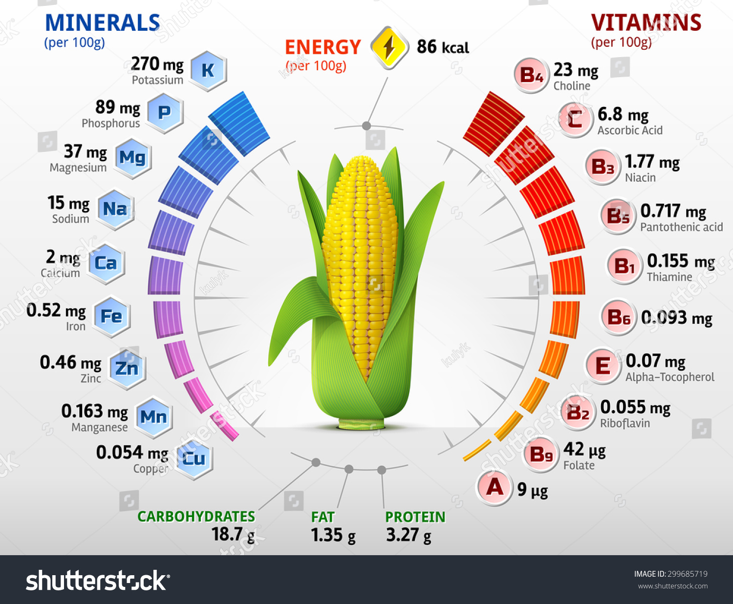 Vitamins Minerals Corn Cob Infographics About Stock Vector 299685719 ...