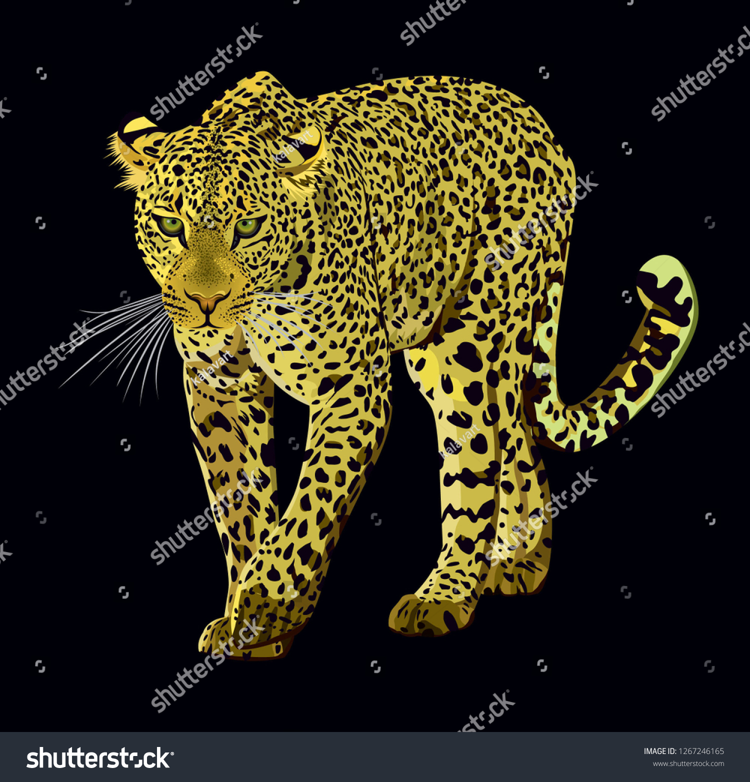 Walking Leopard Graphic Design Isolated On Stock Vector Royalty Free