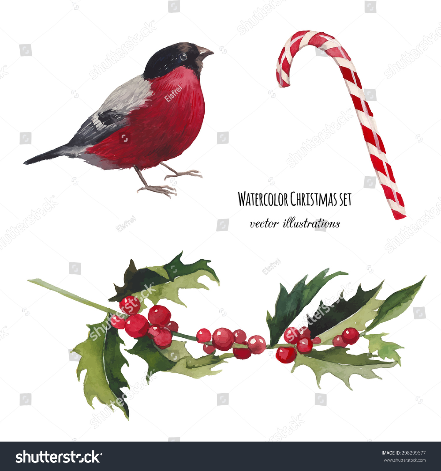 watercolor christmas set hand drawn bullfinch stock vector watercolor christmas set hand drawn bullfinch stock vector