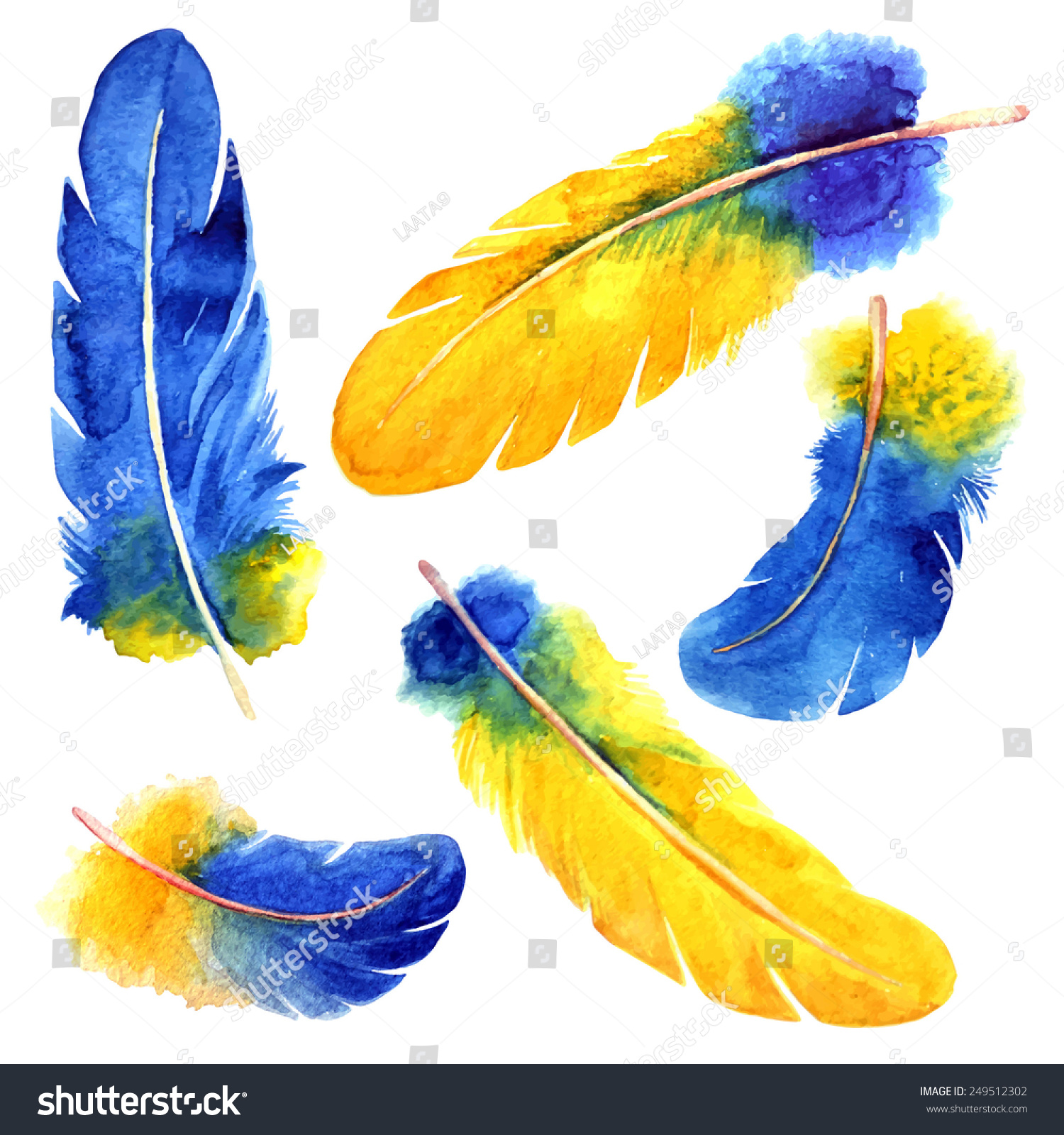 Watercolor Feather Set Hand Drawn Vector 库存矢量图免版税249512302 Shutterstock