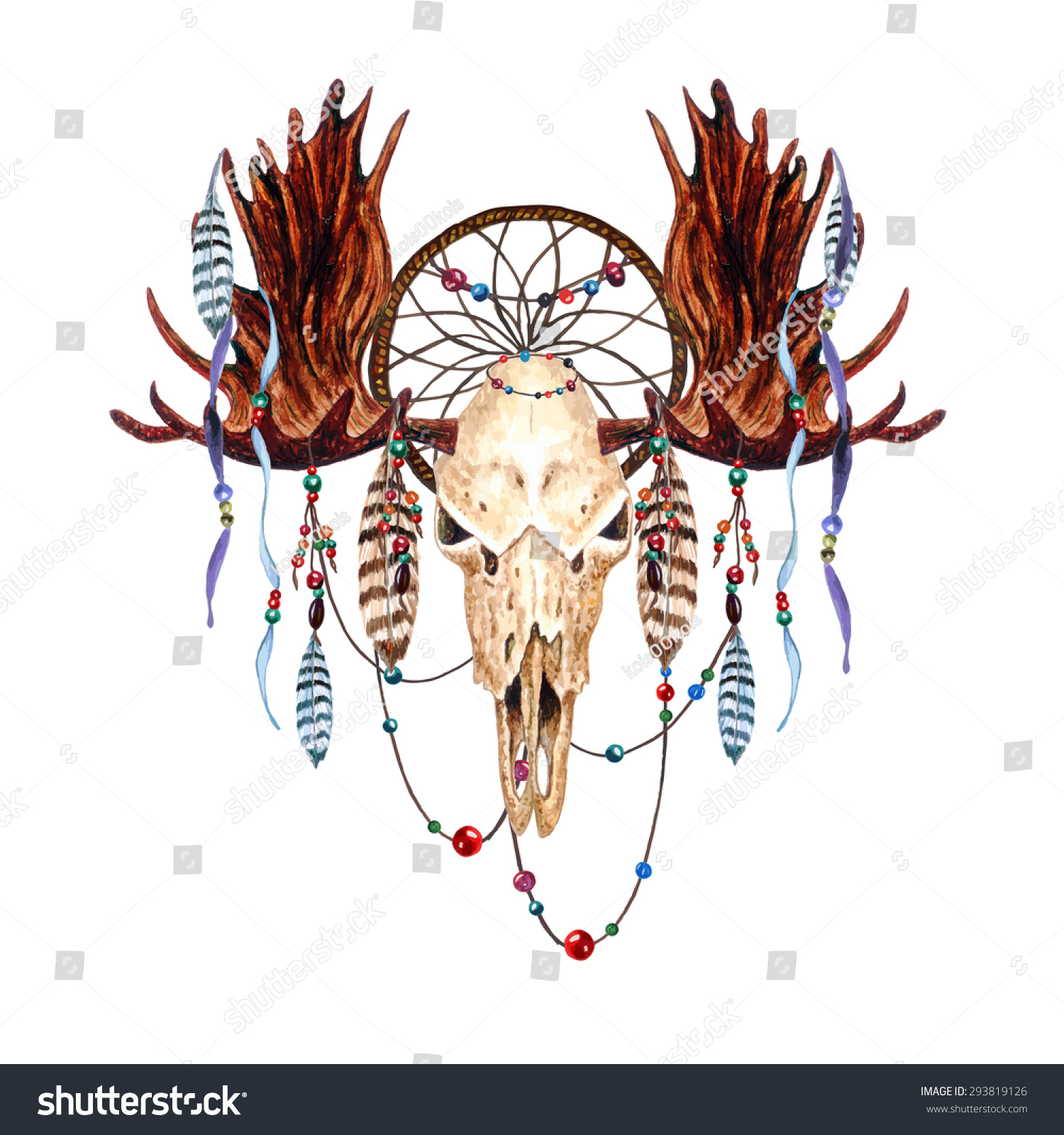watercolor moose skull feathers dreamcatcher beaded stock watercolor moose skull feathers dreamcatcher beaded stock