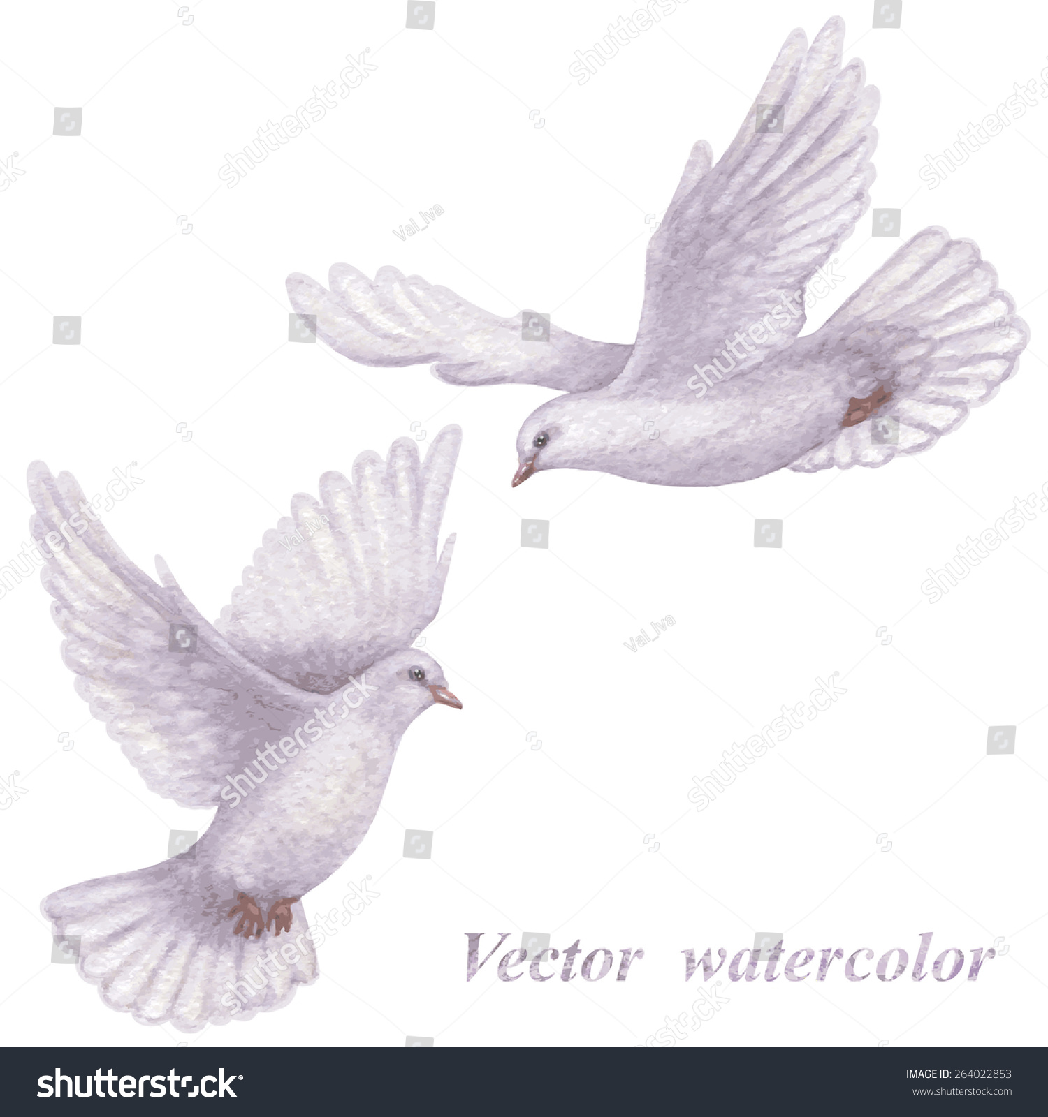 Watercolor Pair Flying Doves Isolated On Stock Vector 264022853 ...