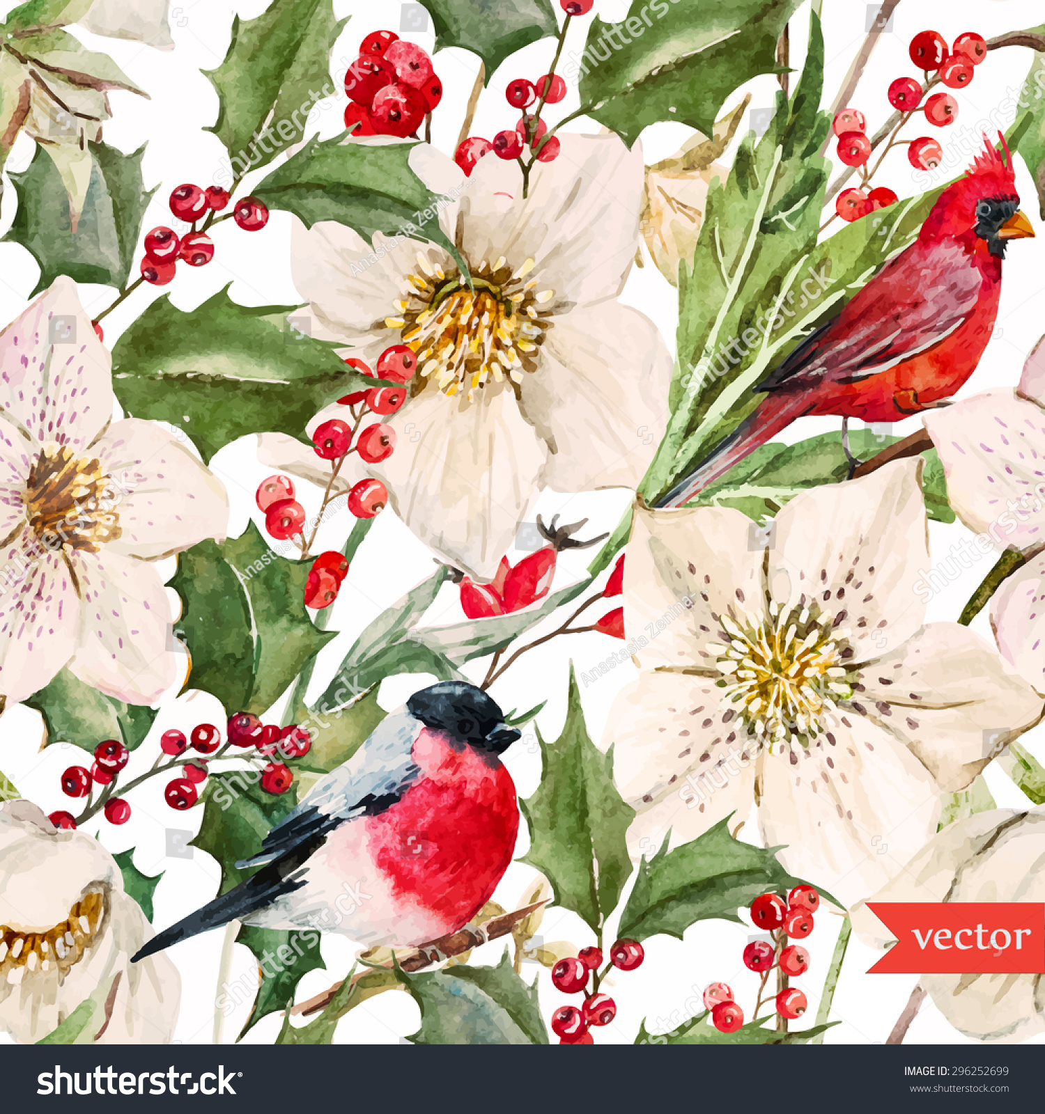 watercolor vector Christmas pattern white hellebore flowers holly bird watercolor vector Christmas pattern white hellebore flowers holly bird